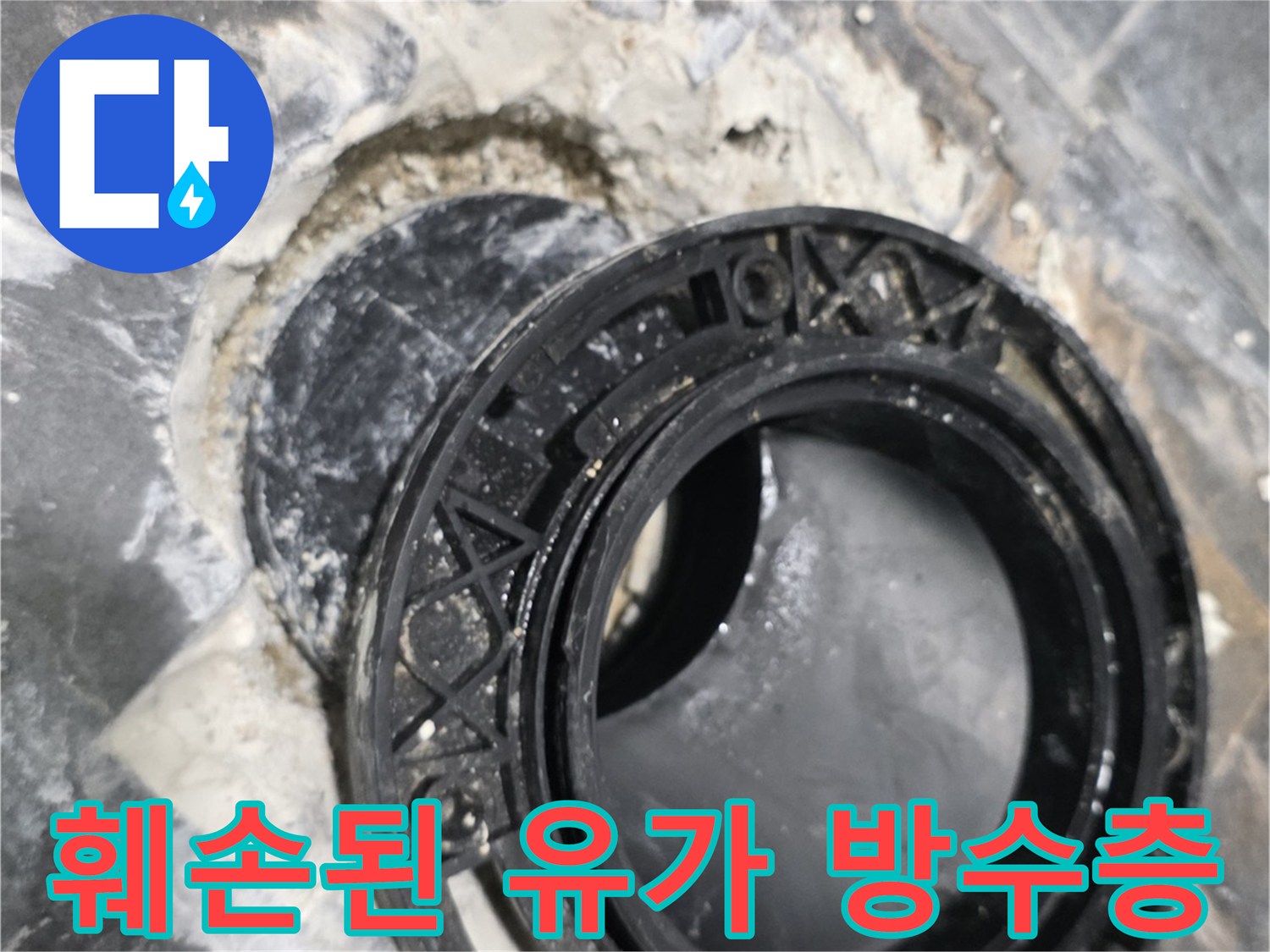 파손된 방수층이 드러난 화장실 배수구 주변 현장