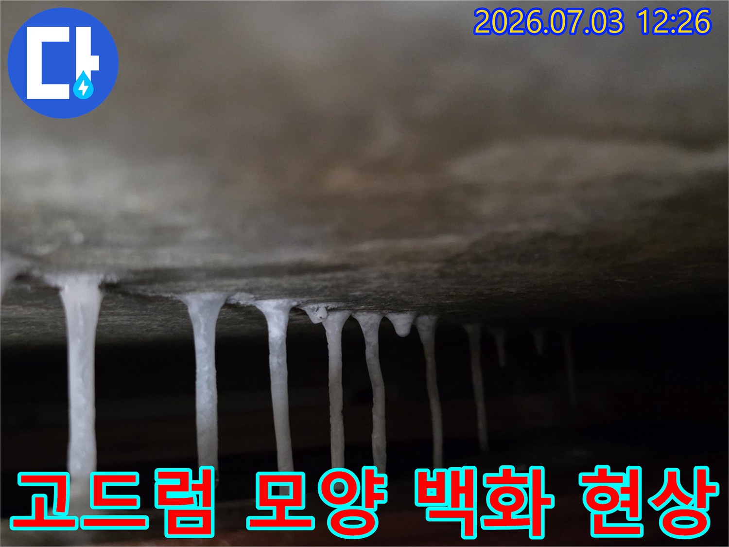 천장 내부에 형성된 고드름 형태의 백화로 누수 경로 확인