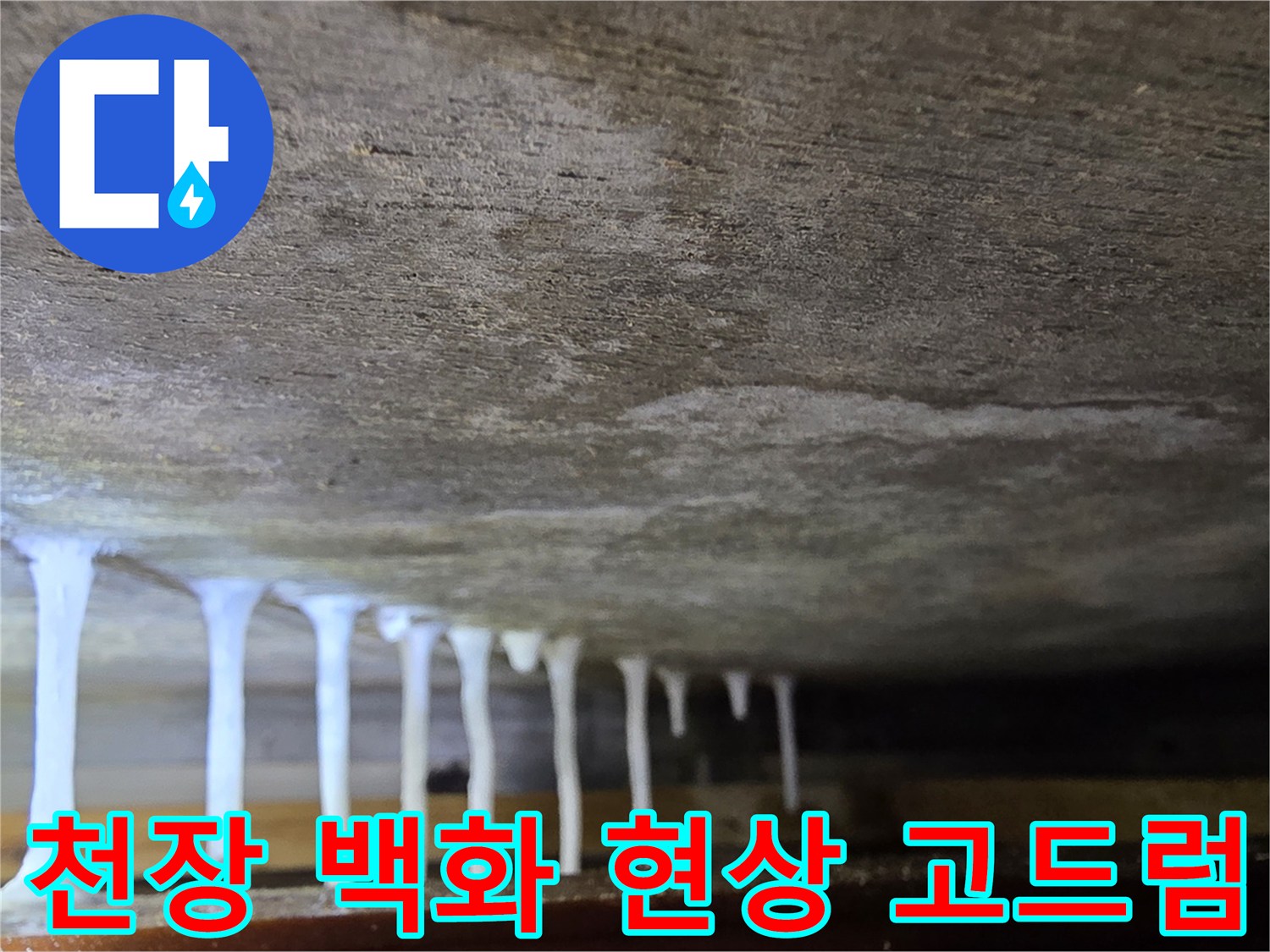 콘크리트 슬래브-하얀 석회물이 맺힌 모습