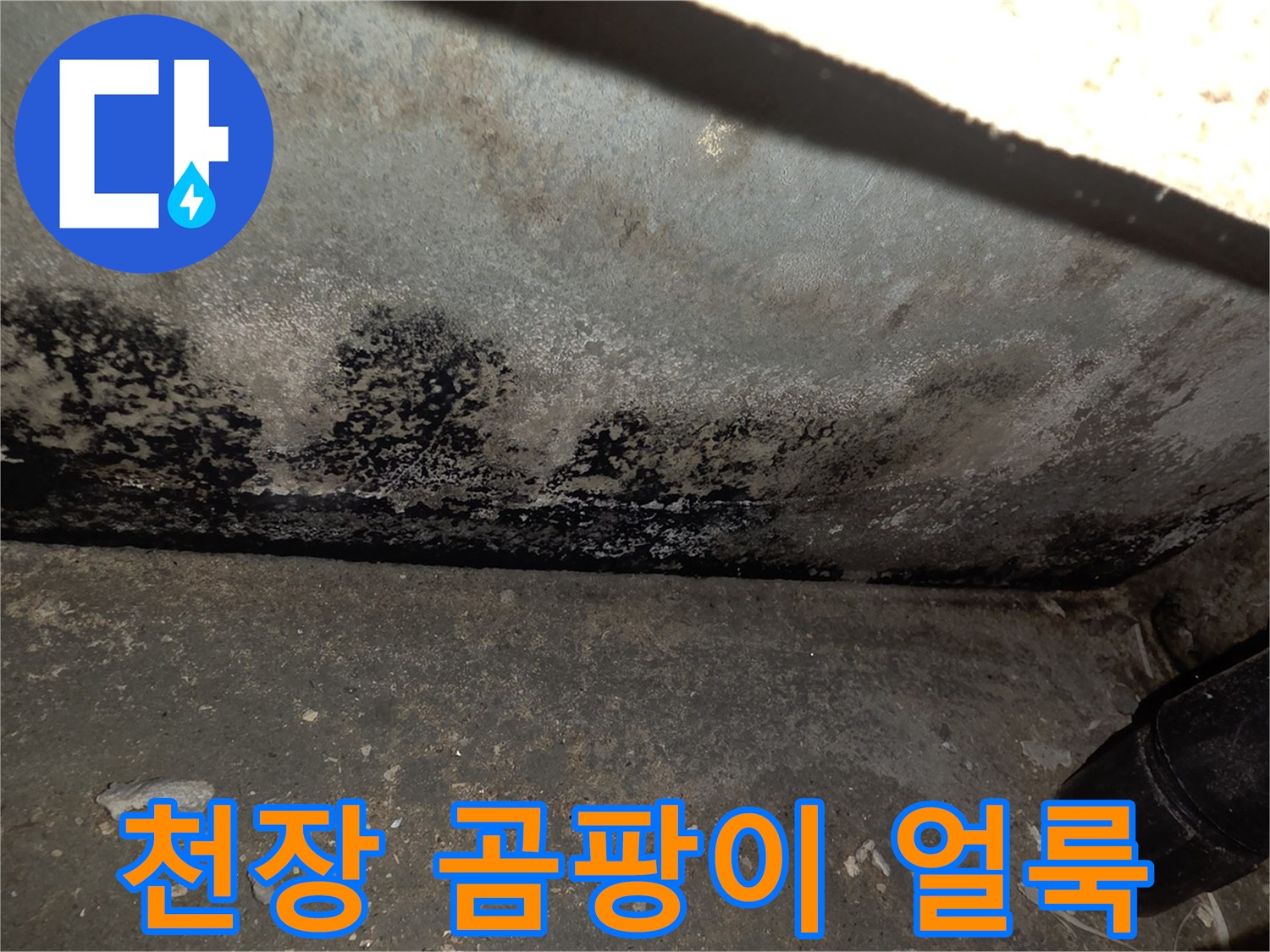 주방 천장에 발생한 검은색 곰팡이와 습기 흔적