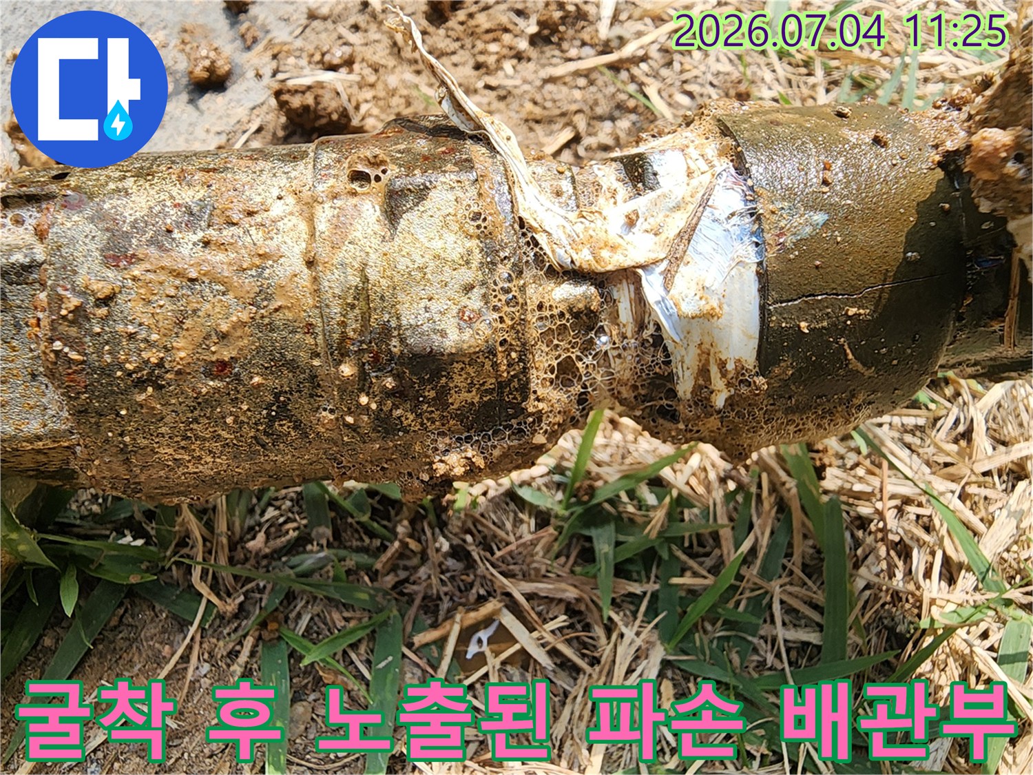 마당 수도 라인에서 발견한 균열 및 노후화된 연결 부위 사진