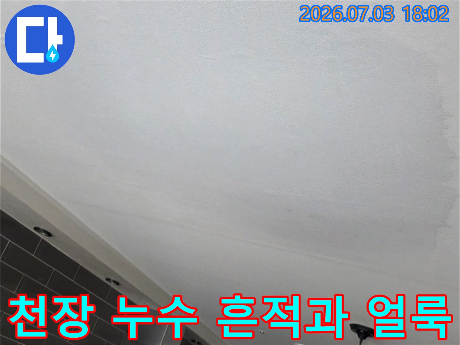거실 천장에 넓게 퍼진 물샘으로 인한 변색 부위 기록