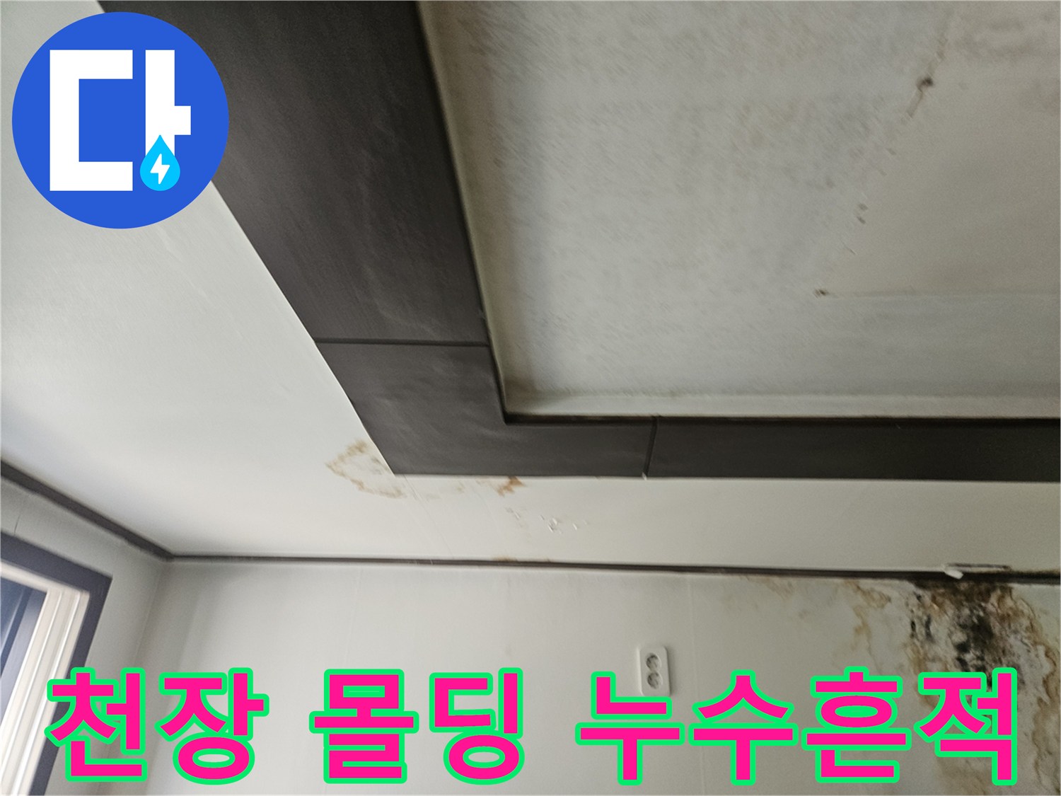 갈색으로 변색된 천장 몰딩과 벽면의 곰팡이 오염 부위