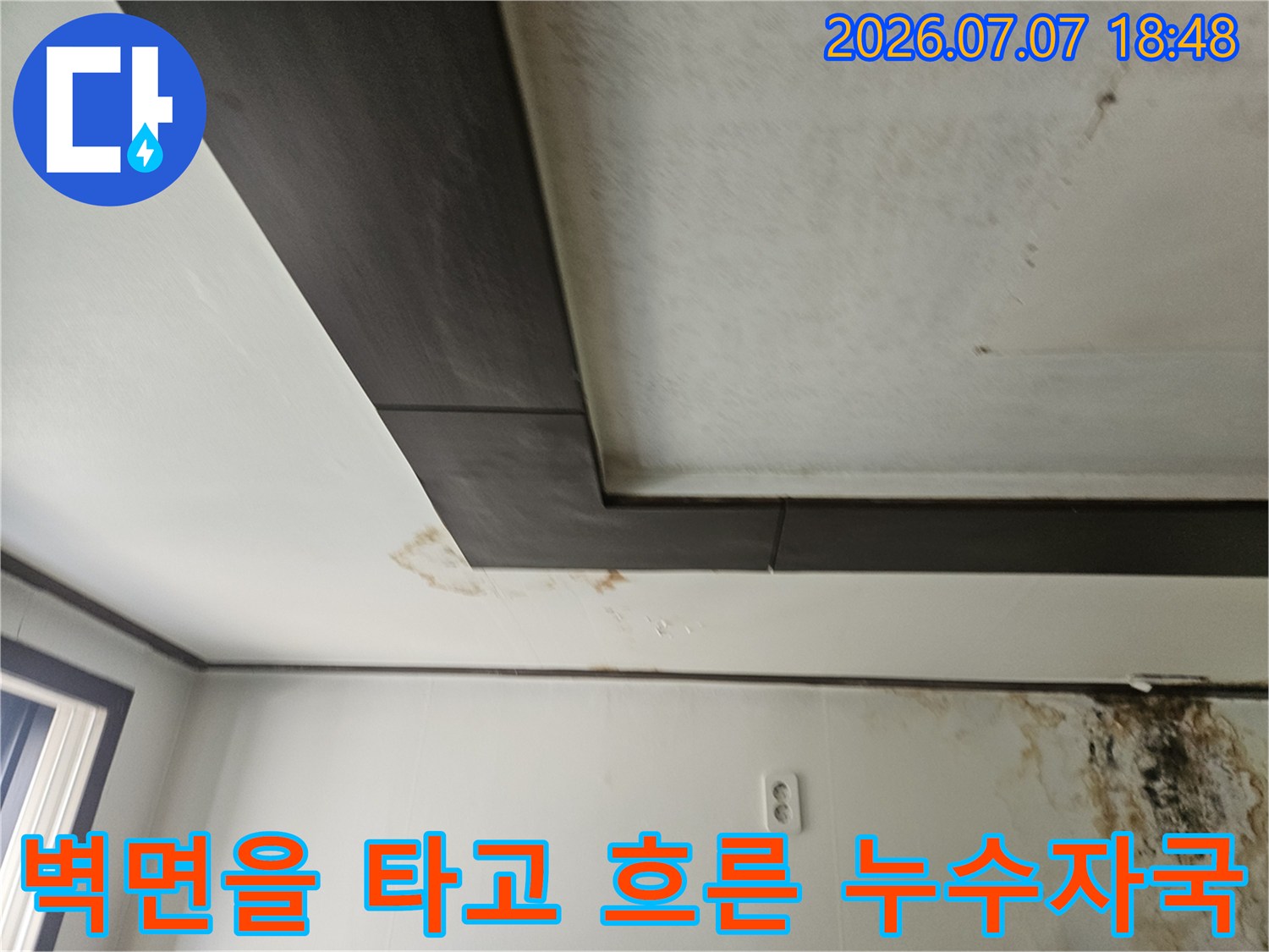 벽체 및 천장의 물자국과 곰팡이 오염부위
