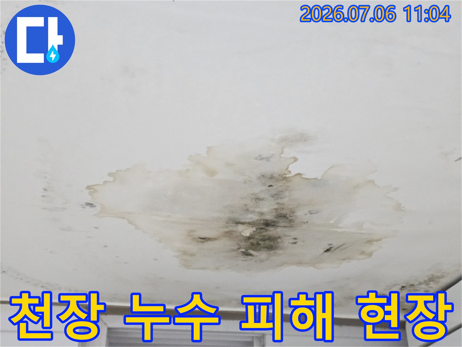 누수가 지속되어 곰팡이와 얼룩으로 오염된 천장면