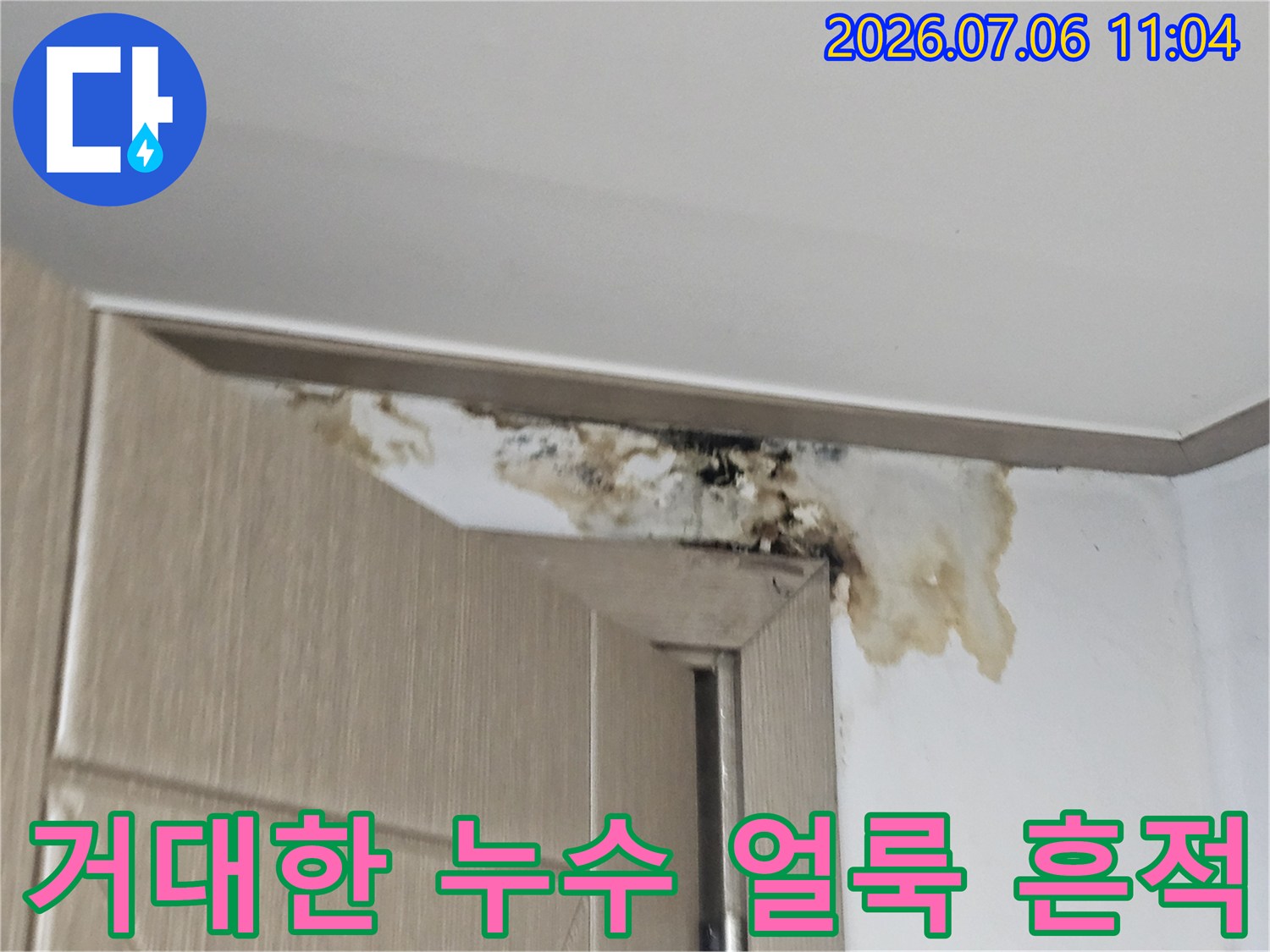 벽면과 천장 경계에 노출된 갈색 및 검정색의 곰팡이와 물자국