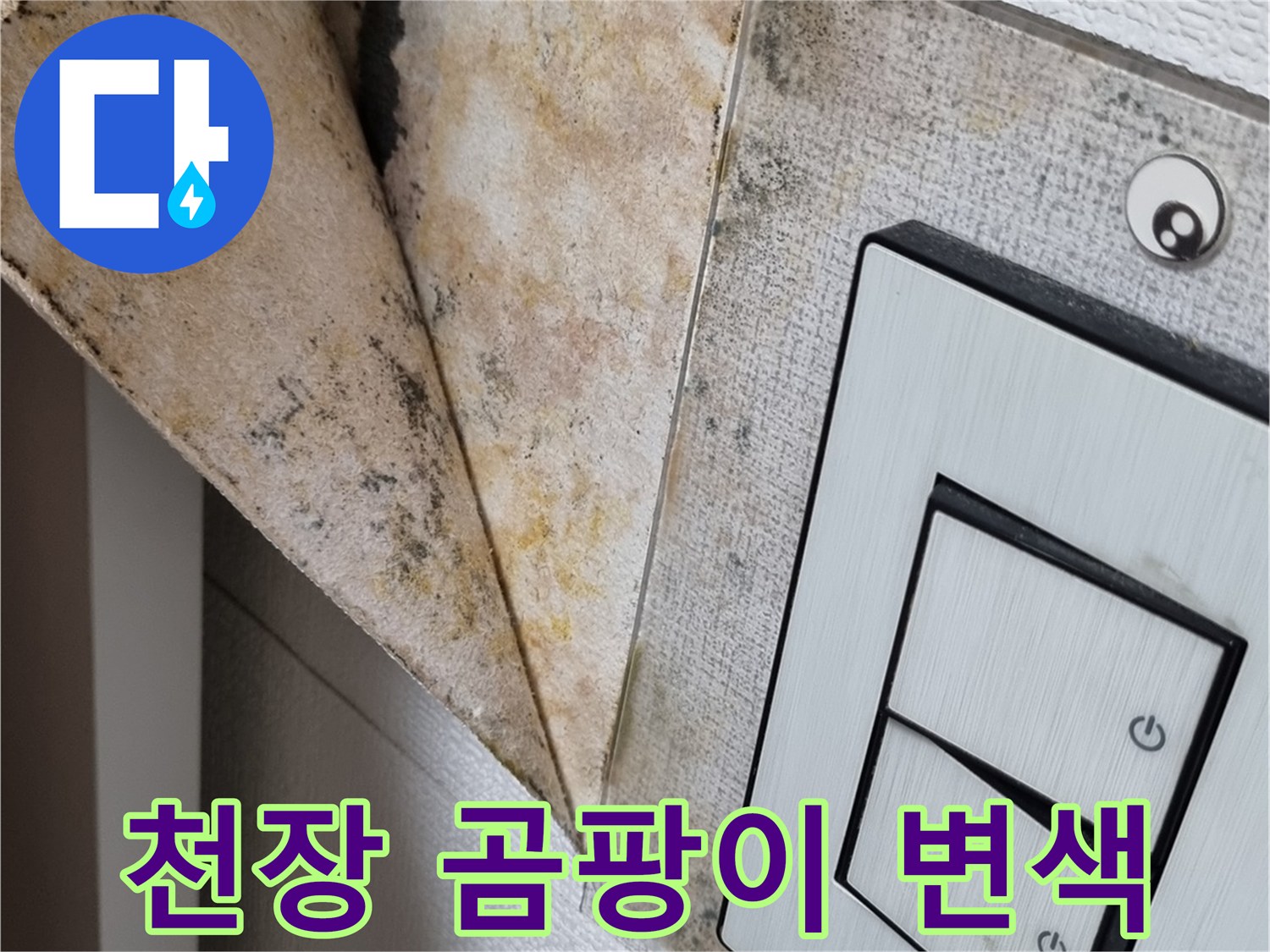 아파트-천장-스위치-주변-곰팡이-및-벽지-변색-상태