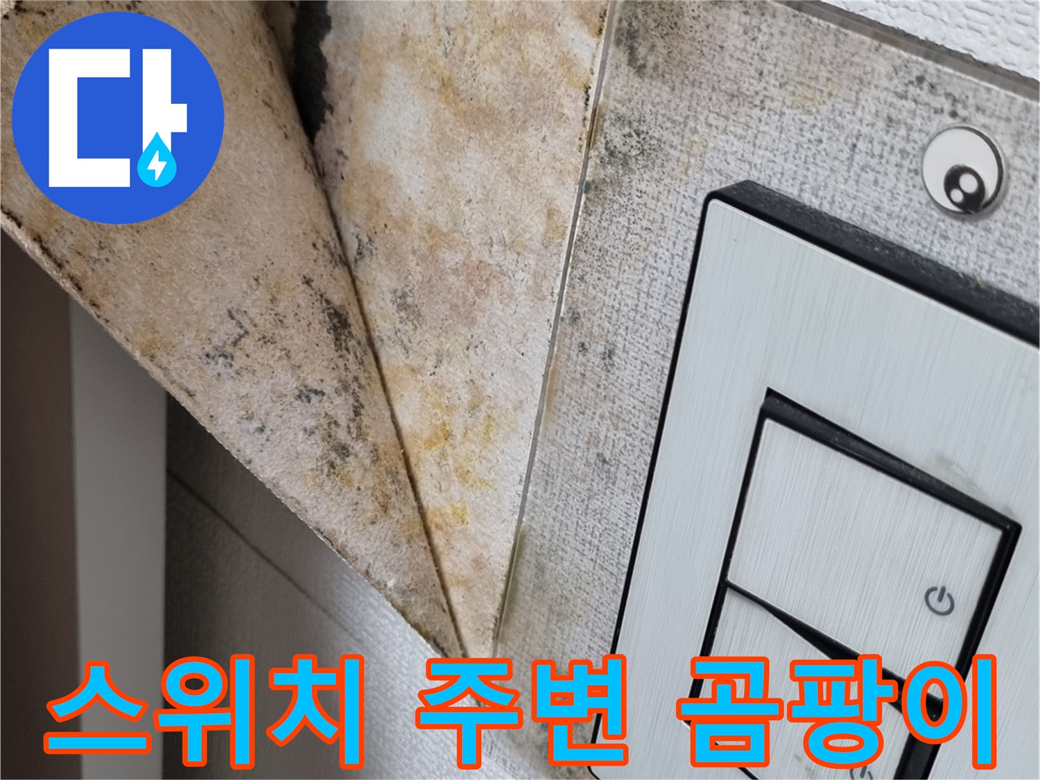 전기-스위치-부근의-심한-천장-벽지-변색-사진