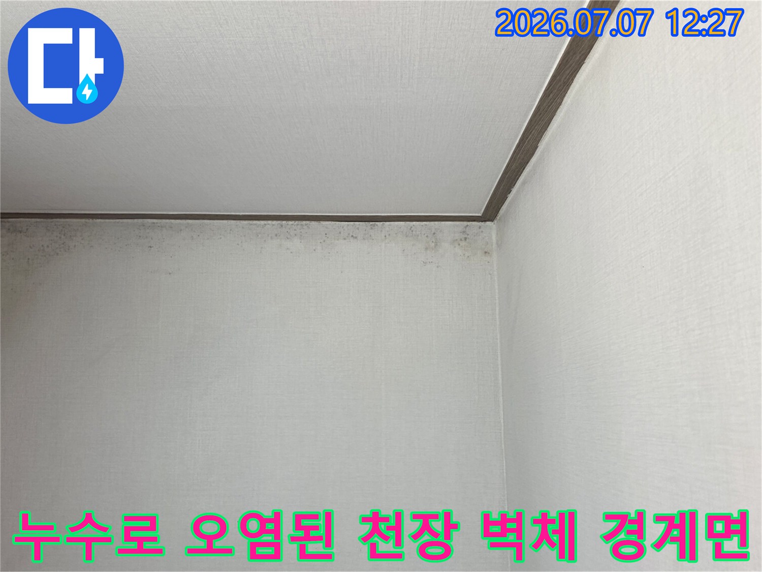 벽면과 천장이 만나는 지점의 누수 피해 및 곰팡이 분포 상태