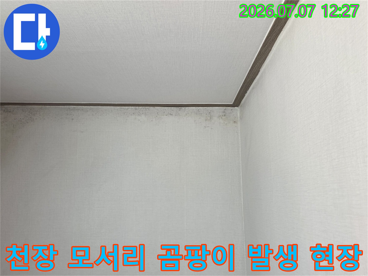 벽체와 천장이 만나는 모서리에 집중된 누수 오염과 곰팡이