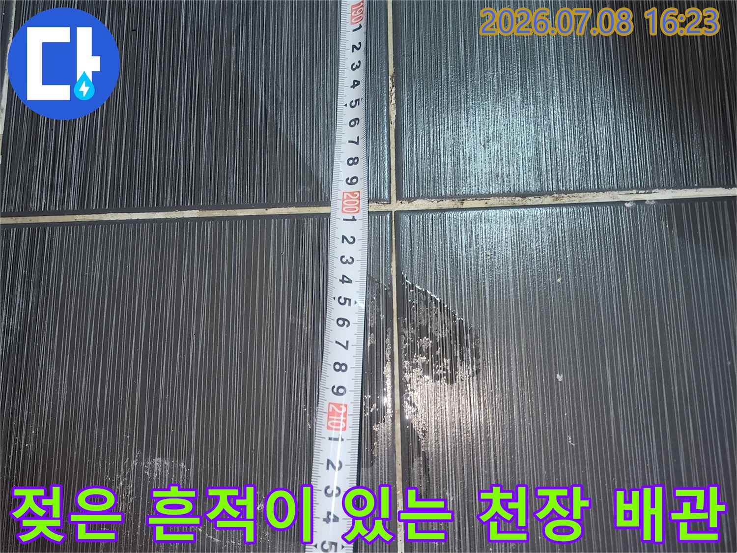 누수로 인해 변색된 화장실 천장면과 젖어있는 하수구 연결 부위