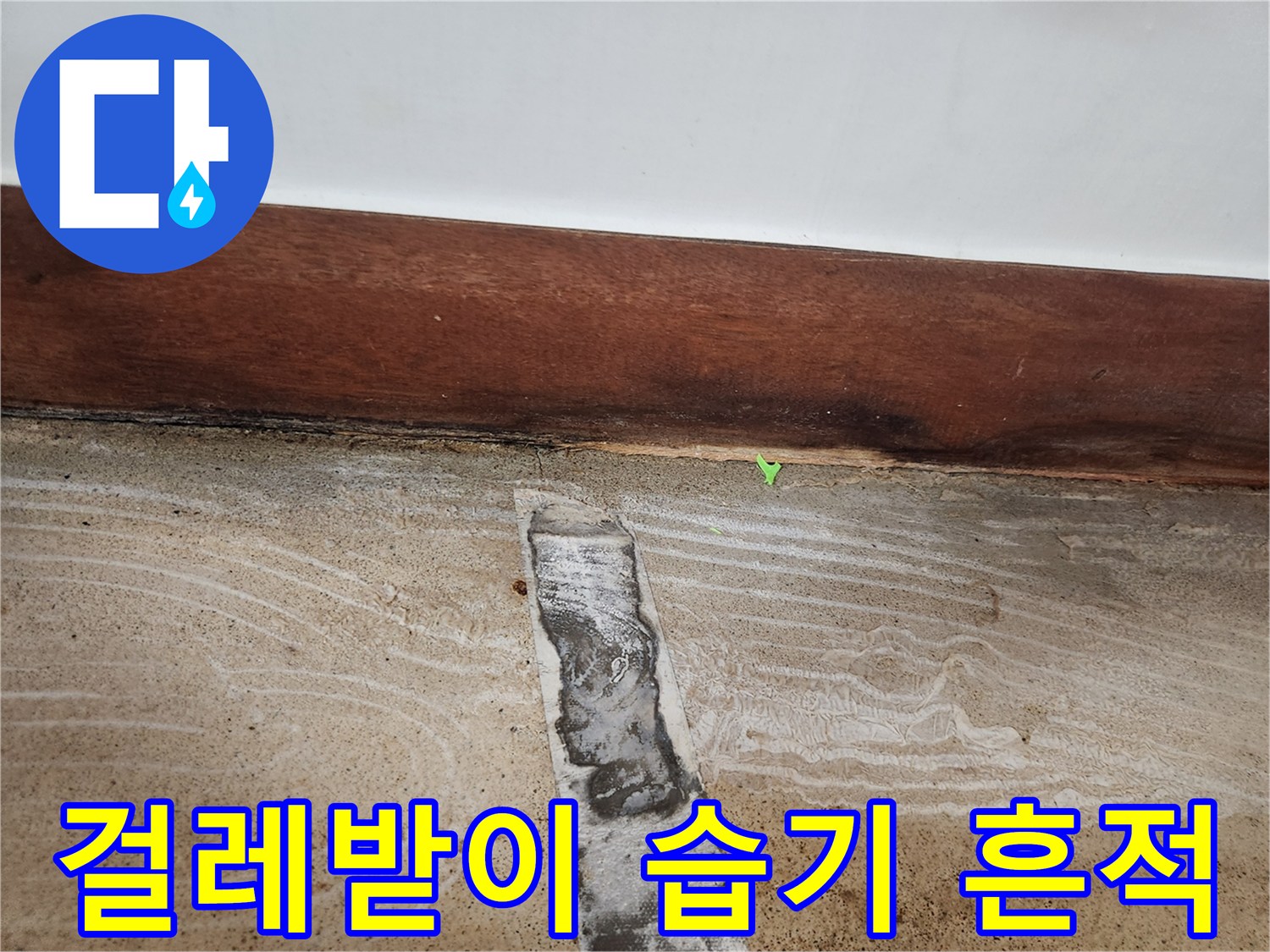 벽면 하단부-습기로 인해 변색된 바닥 경계선