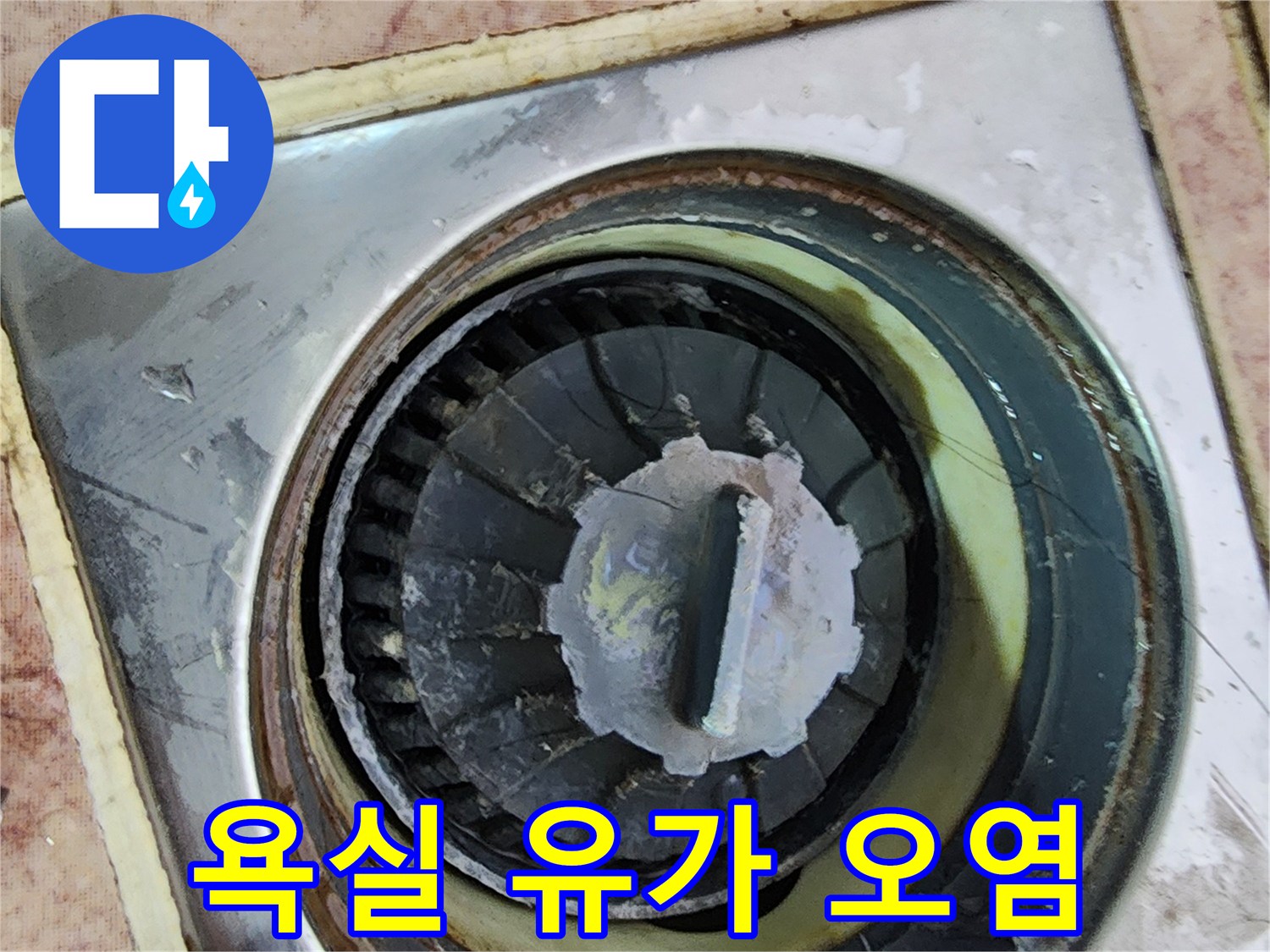 오염된-배수구-트랩과-주변-타일-틈새-사진