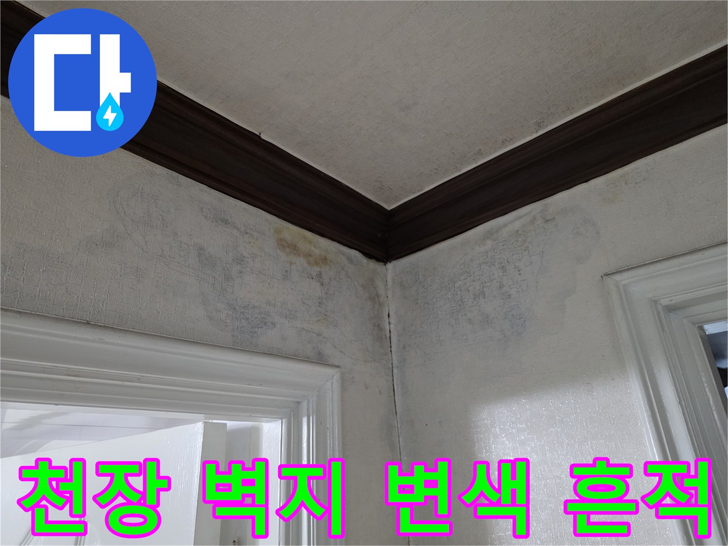 아파트 천장-벽지-오염-상태-확인