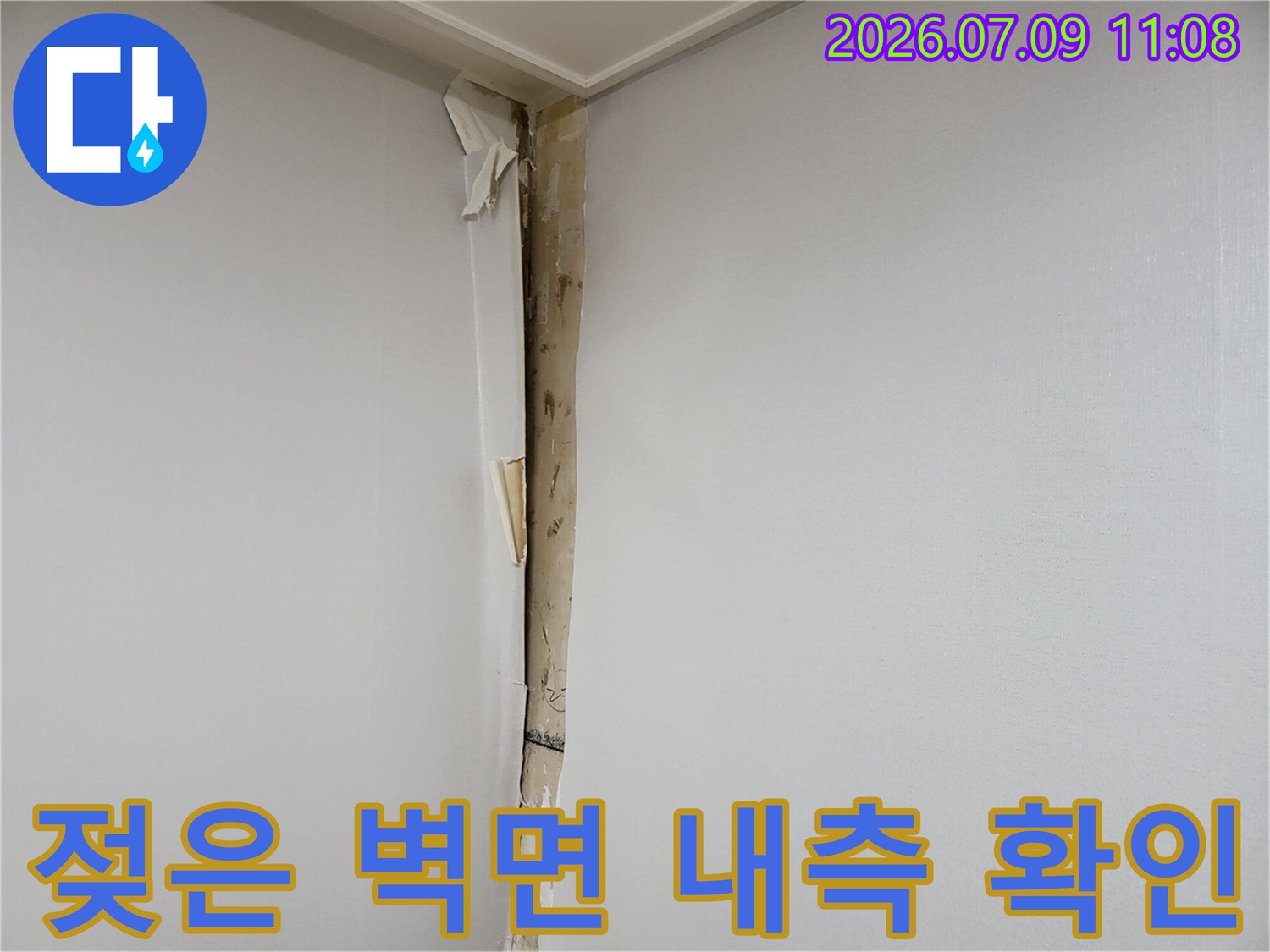 오염된 벽지 안쪽의 누수 흔적을 파악하기 위한 점검 장면