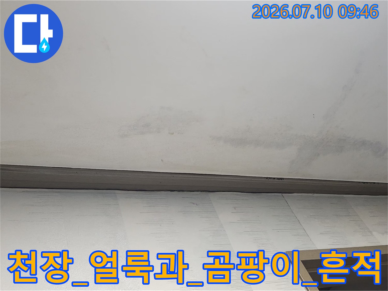 천장 몰딩 주변의 누수로 인한 변색과 곰팡이가 발생한 모습