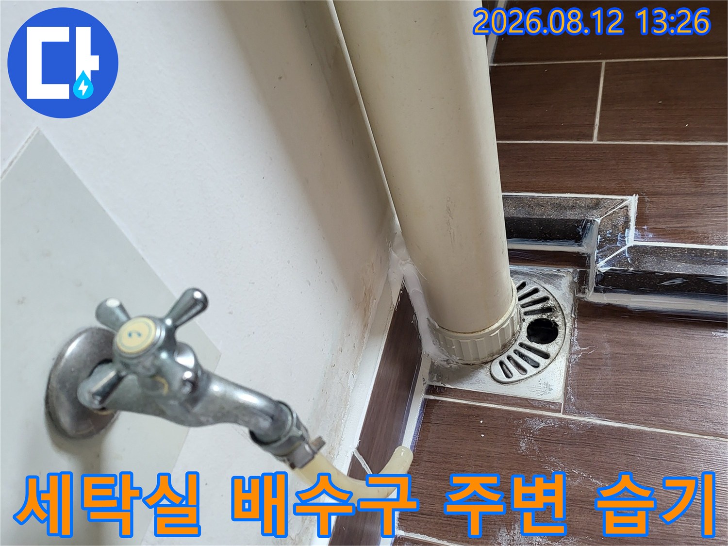 습기가 머물러 있는 세탁실 배수구와 타일 표면