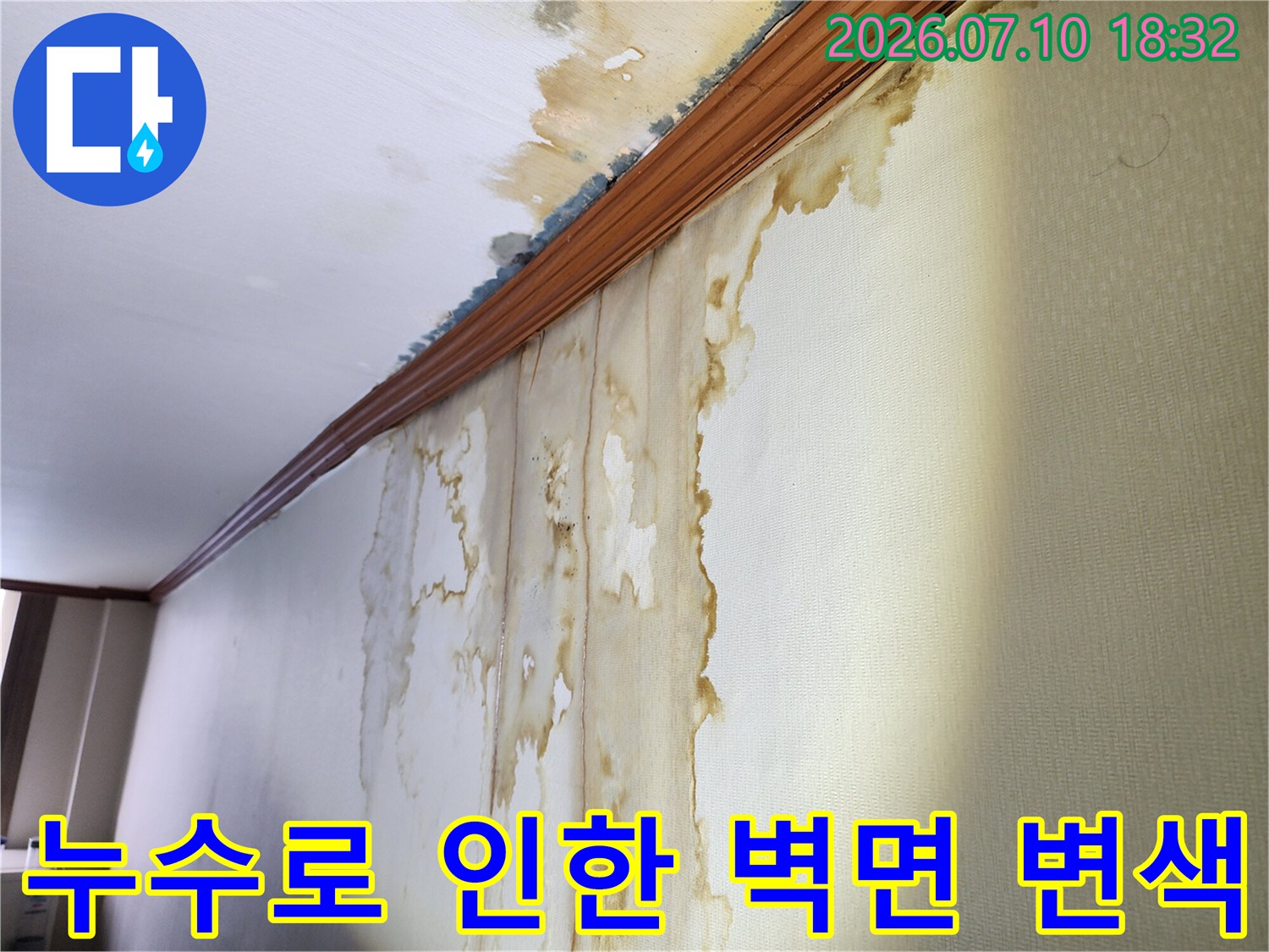 심하게 젖고 오염된 천장과 벽의 경계 부분