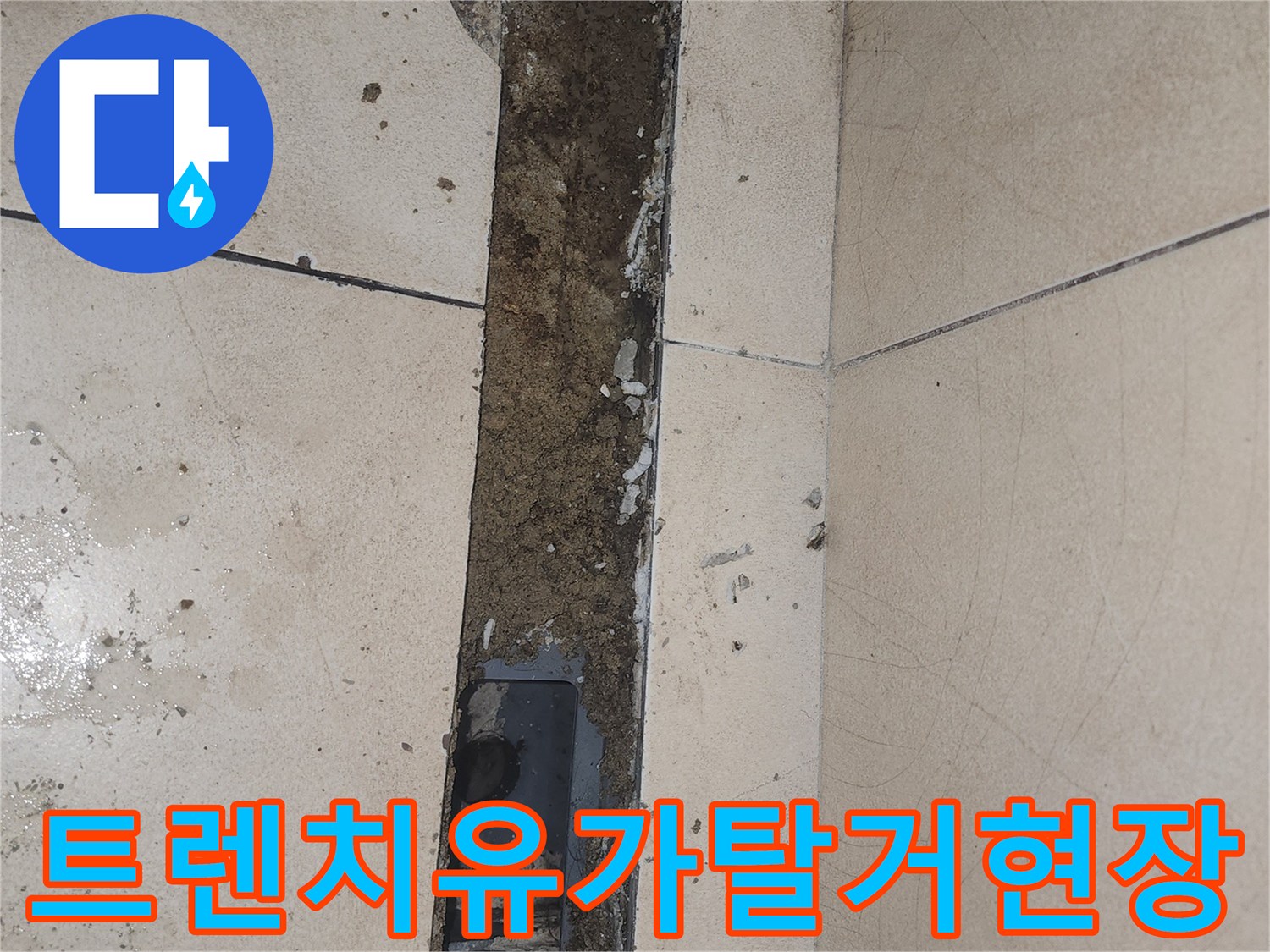 화장실-배수구-트렌치-유가-탈거-및-내부-상태-확인