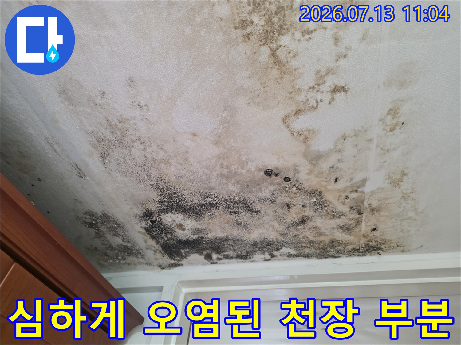 곰팡이와 물얼룩으로 뒤덮인 현관 입구 쪽 천장 모습