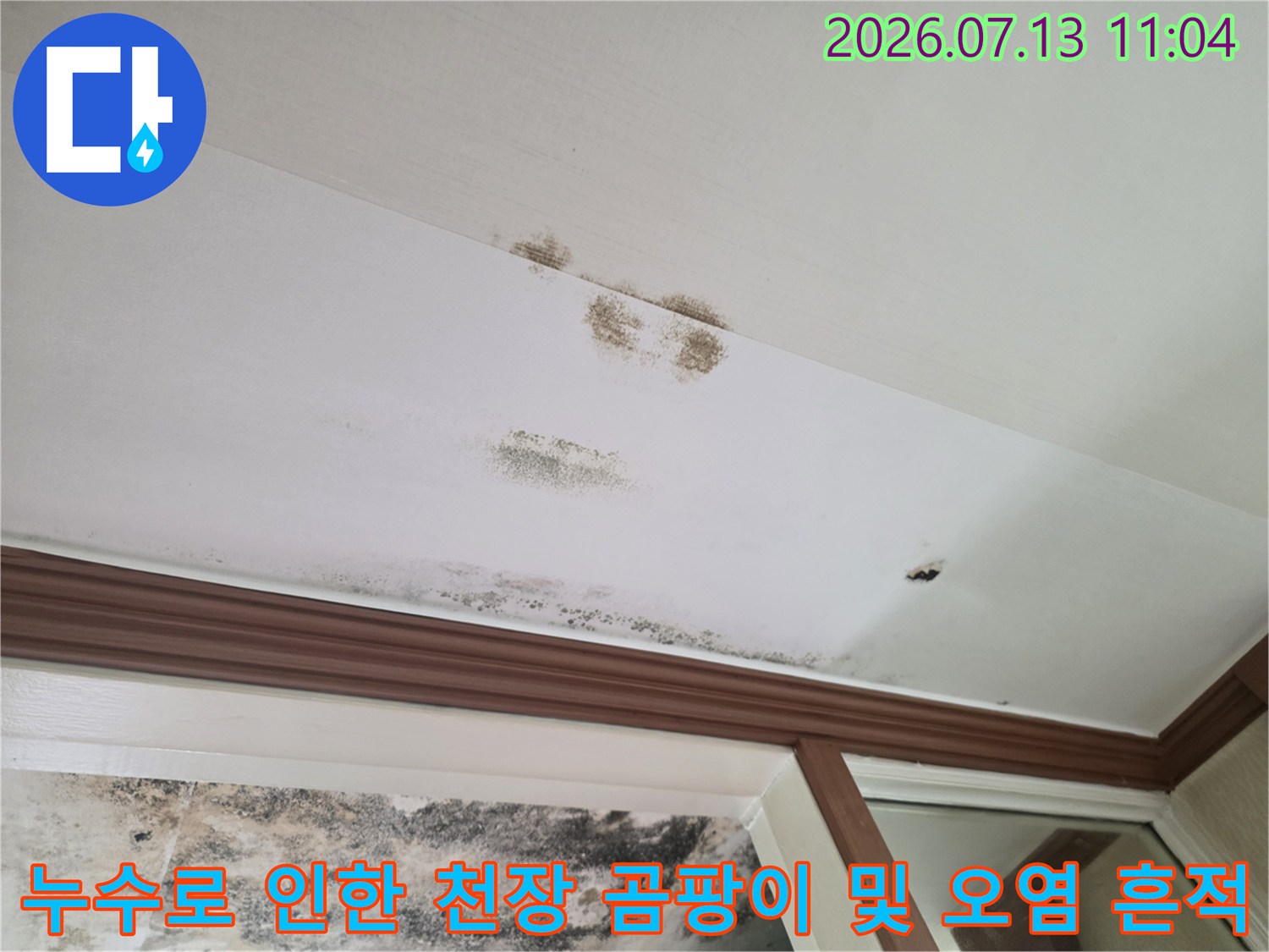 누수가 지속되어 변색된 천장 마감재와 주변의 검은 곰팡이