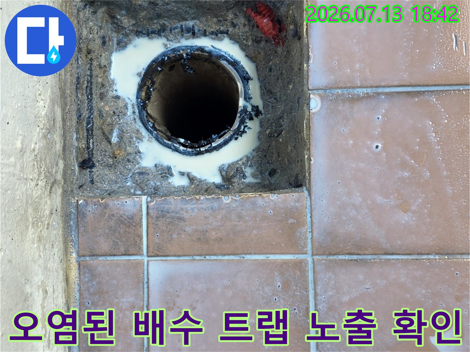 오염된 세탁실 배수구 주변을 걷어내고 내부를 점검하는 현장 사진