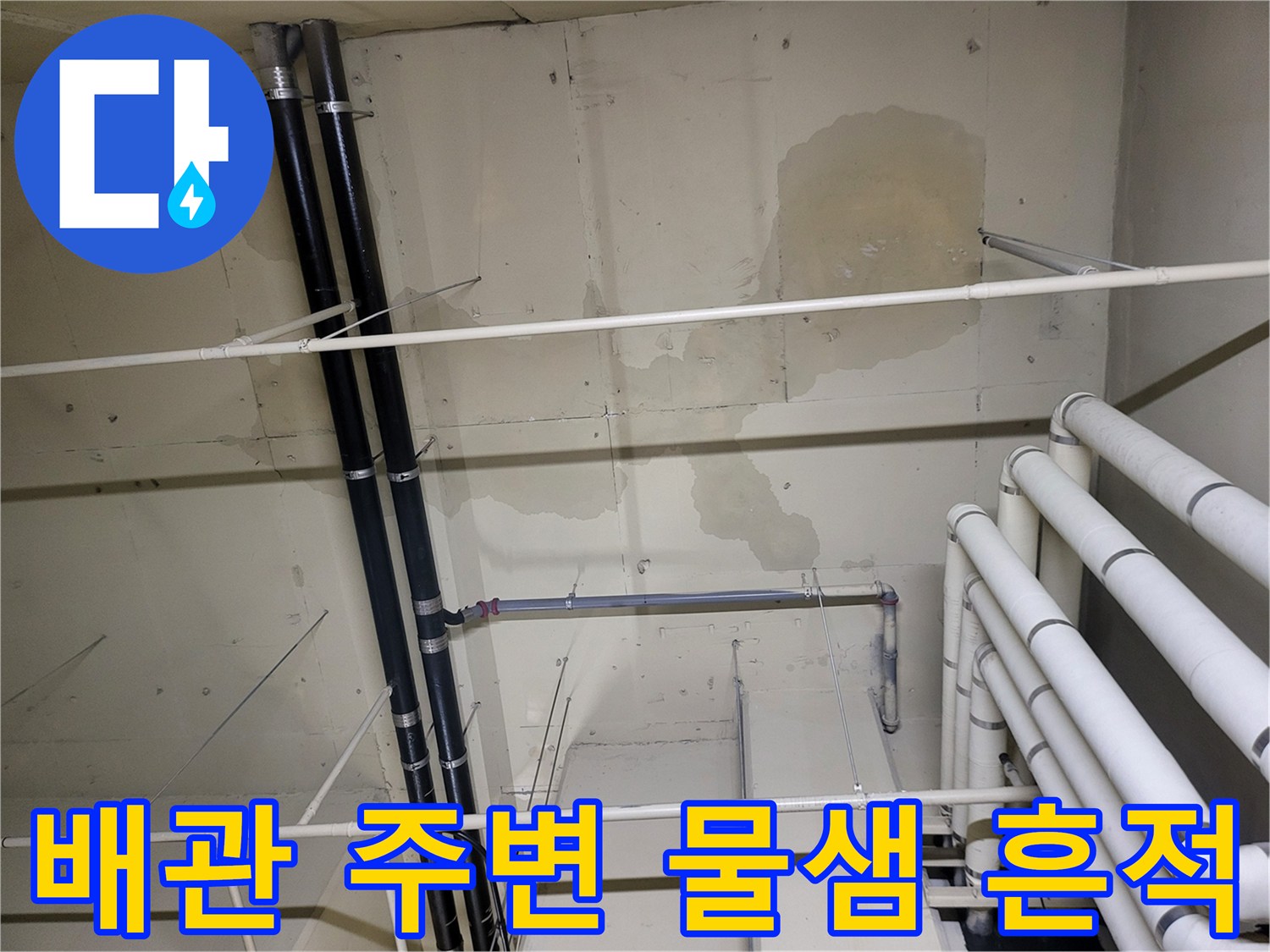 천장 배관 주변에 발생한 넓은 범위의 누수 얼룩 및 변색 부위