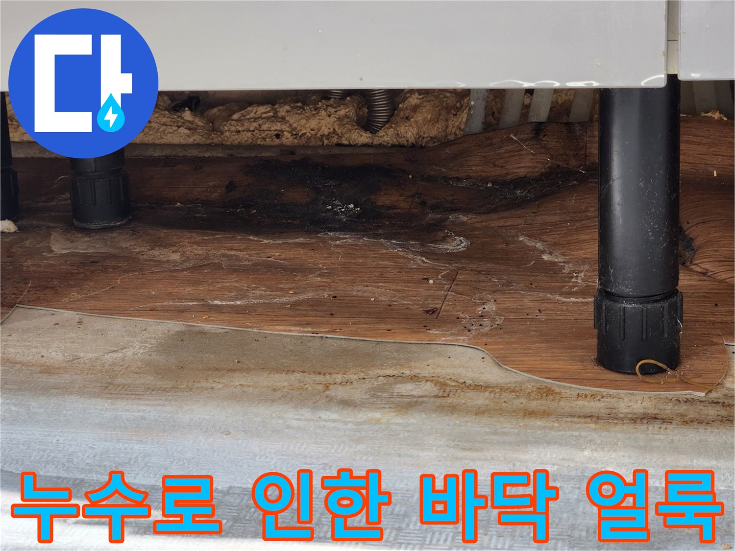 싱크대 다리 사이-물에 젖어 검게 변한 바닥