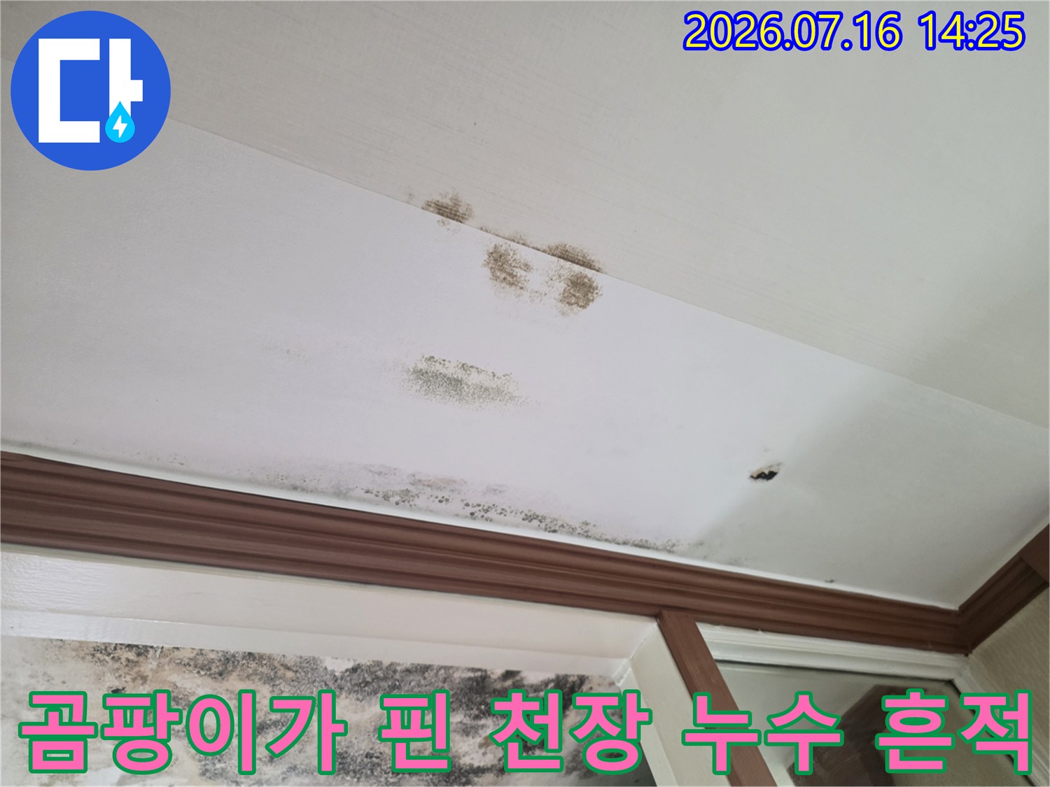 곰팡이와 물때로 얼룩진 아파트 거실 천장면