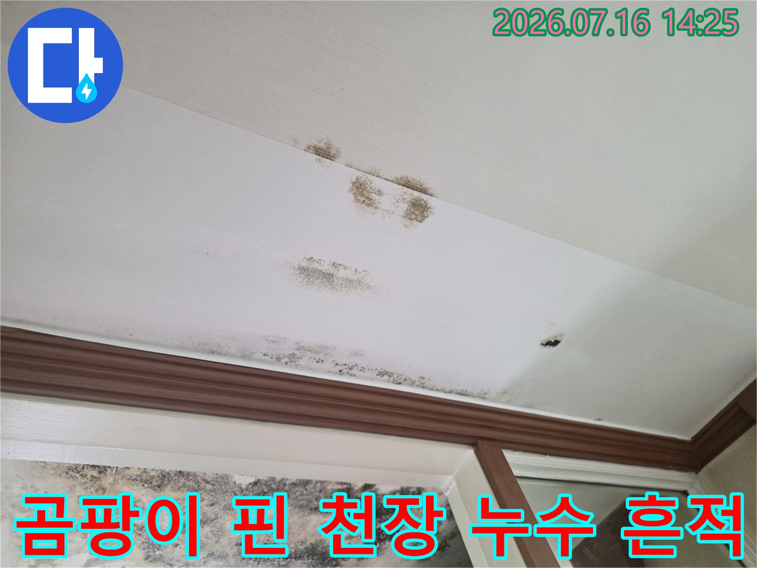 천장 마감재에 발생한 다수의 누수 얼룩 및 오염 현장