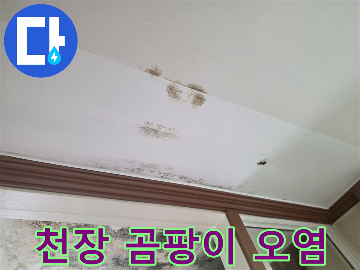 천장 마감재에 퍼진 곰팡이와 수분 흔적