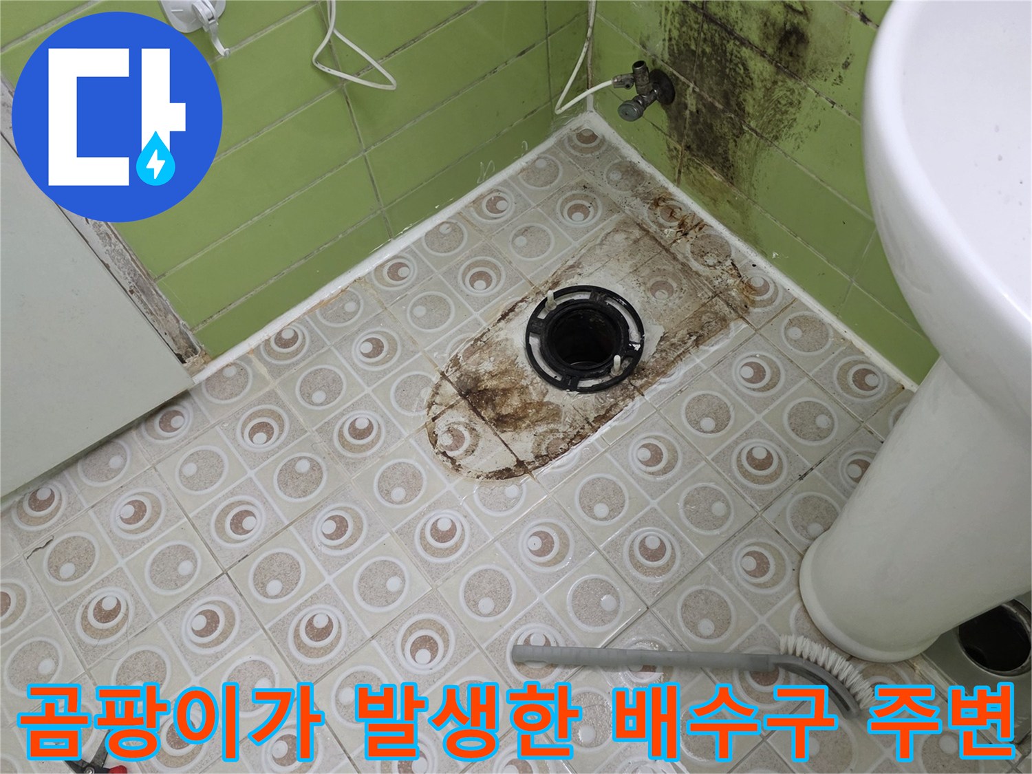 하수관 입구 부근의 곰팡이와 오염된 타일 면