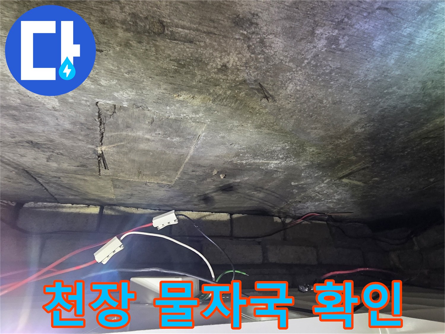 축축하게 젖은 천장 마감재와 배관 주변의 얼룩