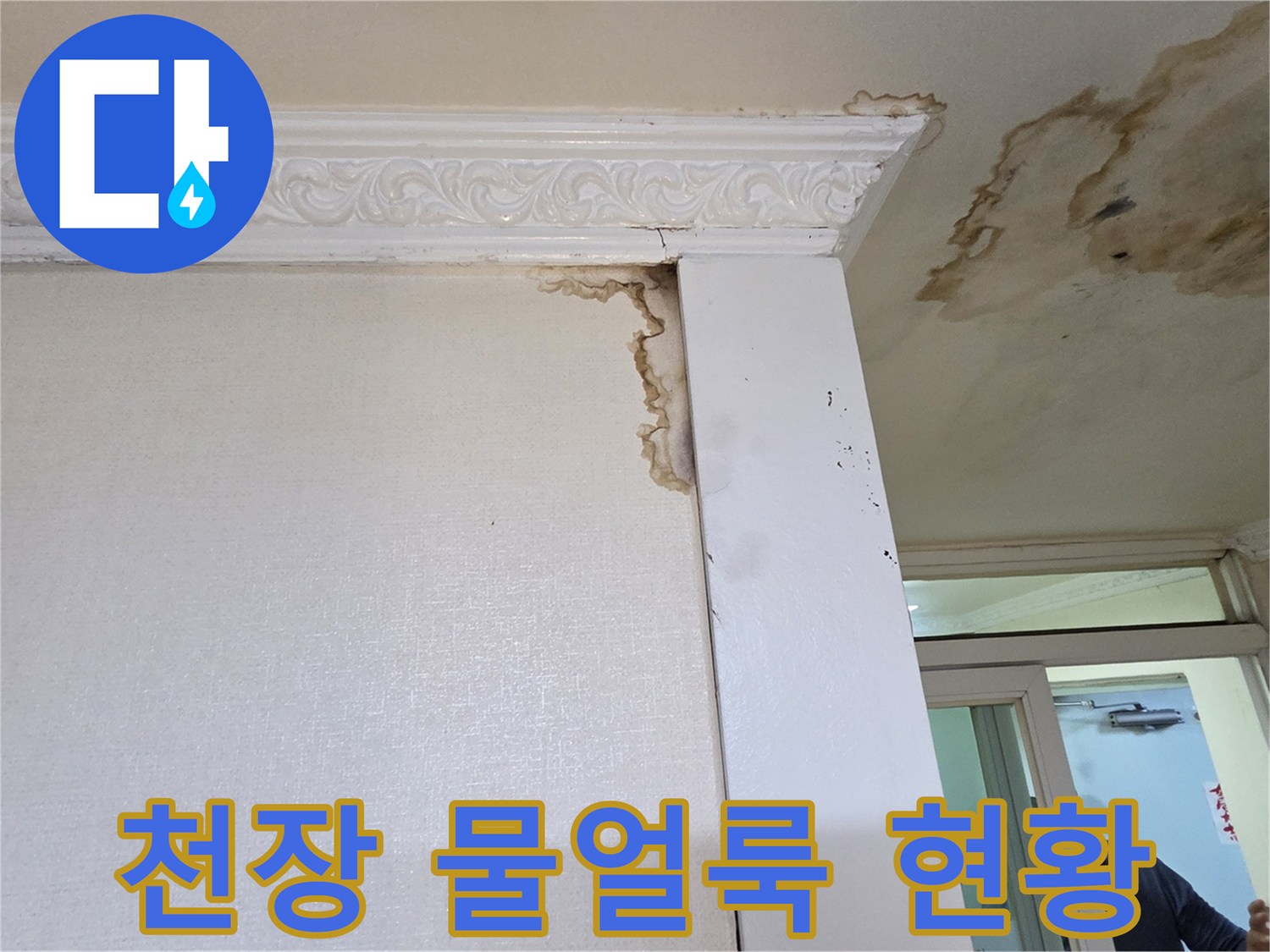 화장실-천장부위의-심한-물얼룩과-변색된-상태