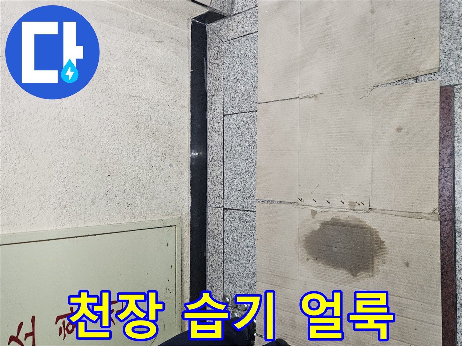 물샘-증상이-발생한-필로티-천장-면
