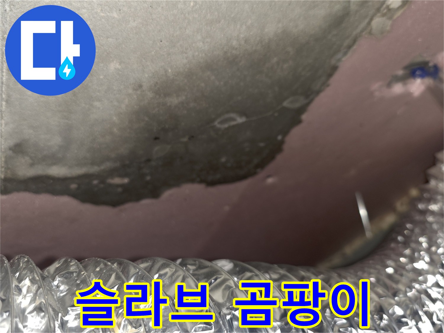 천장-콘크리트-면의-곰팡이-및-습기-침투-상태