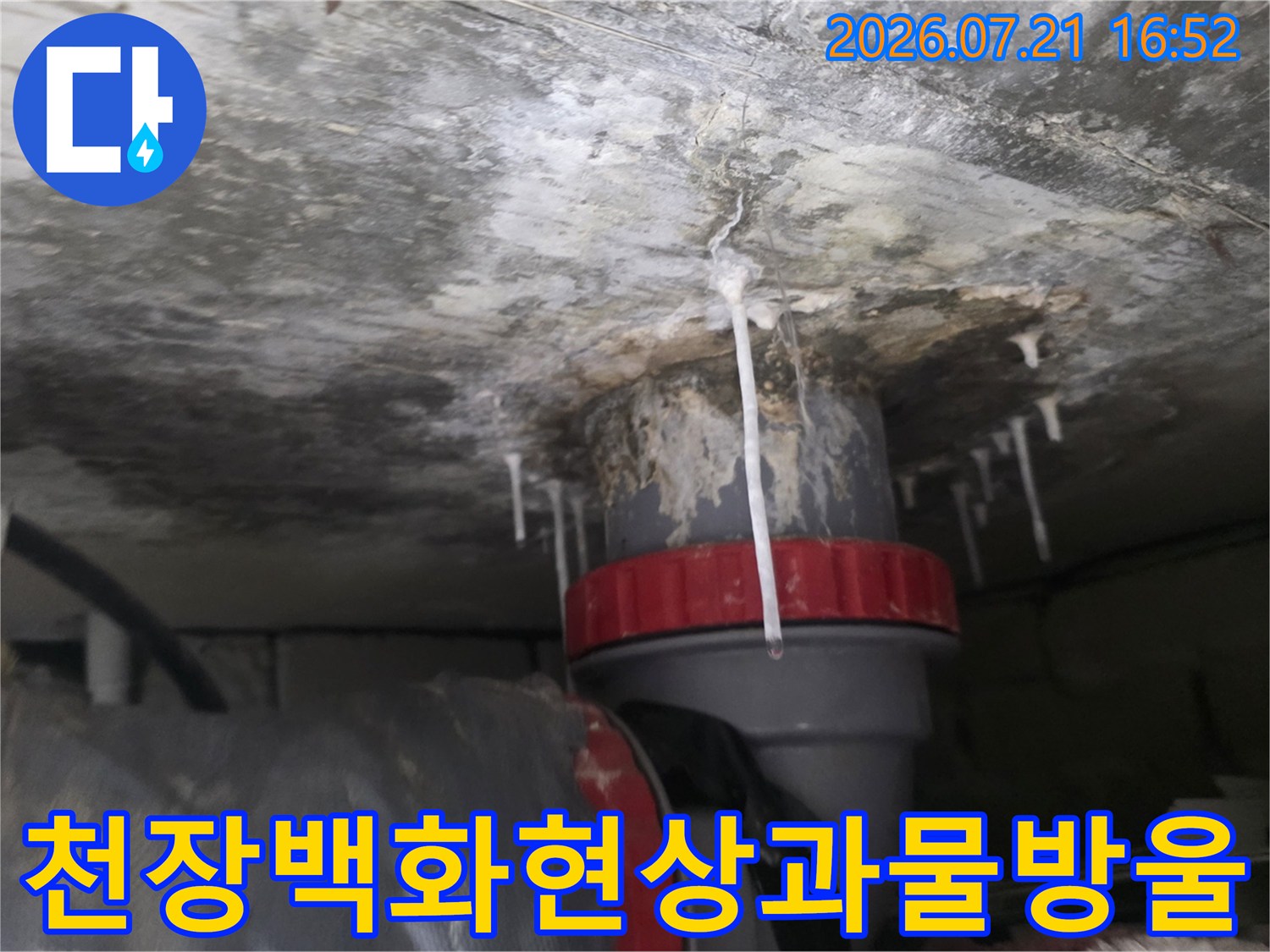 배관 주변에 형성된 백화 현상과 누수 증거 사진