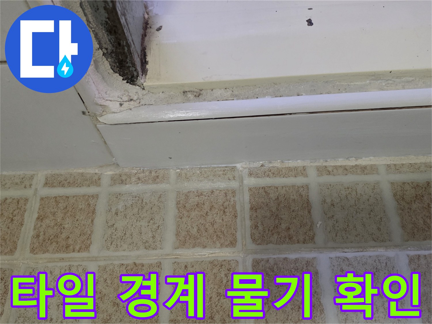 변기-하단-및-바닥-타일-경계의-젖은-모습