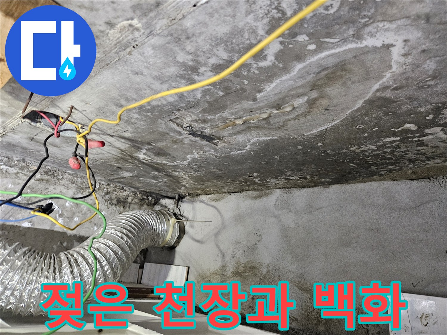 아래층 천장-물에 젖어 하얗게 변한 백화 현상