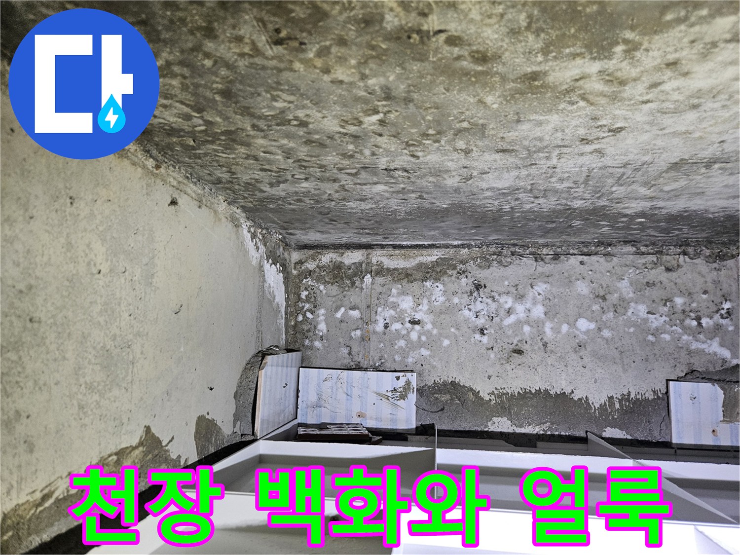 아랫집-화장실-천장-벽면에-발생한-백화현상과-젖은-얼룩