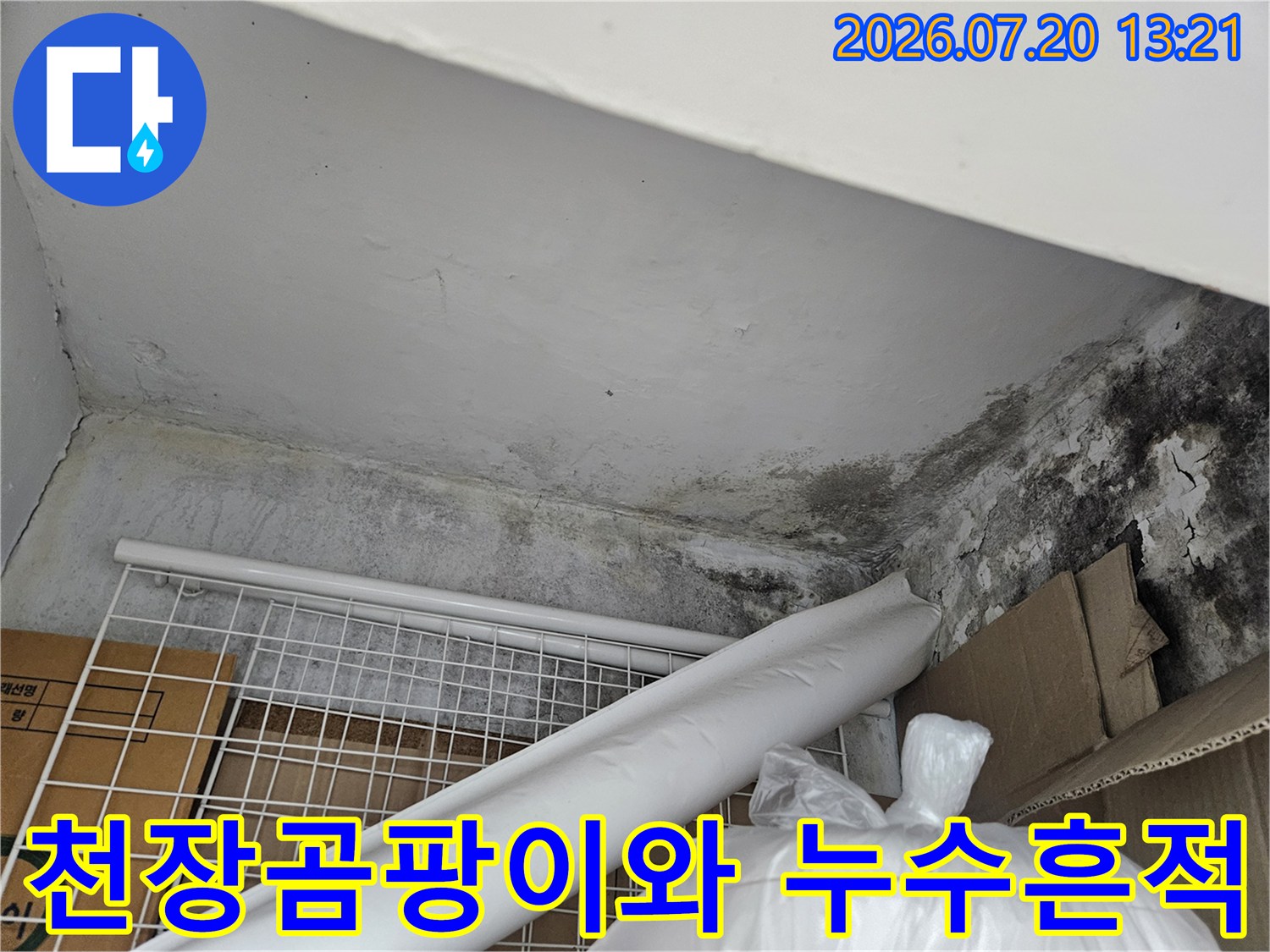 곰팡이가 핀 천장과 배관 주변의 습기 흔적이 보이는 현장 사진