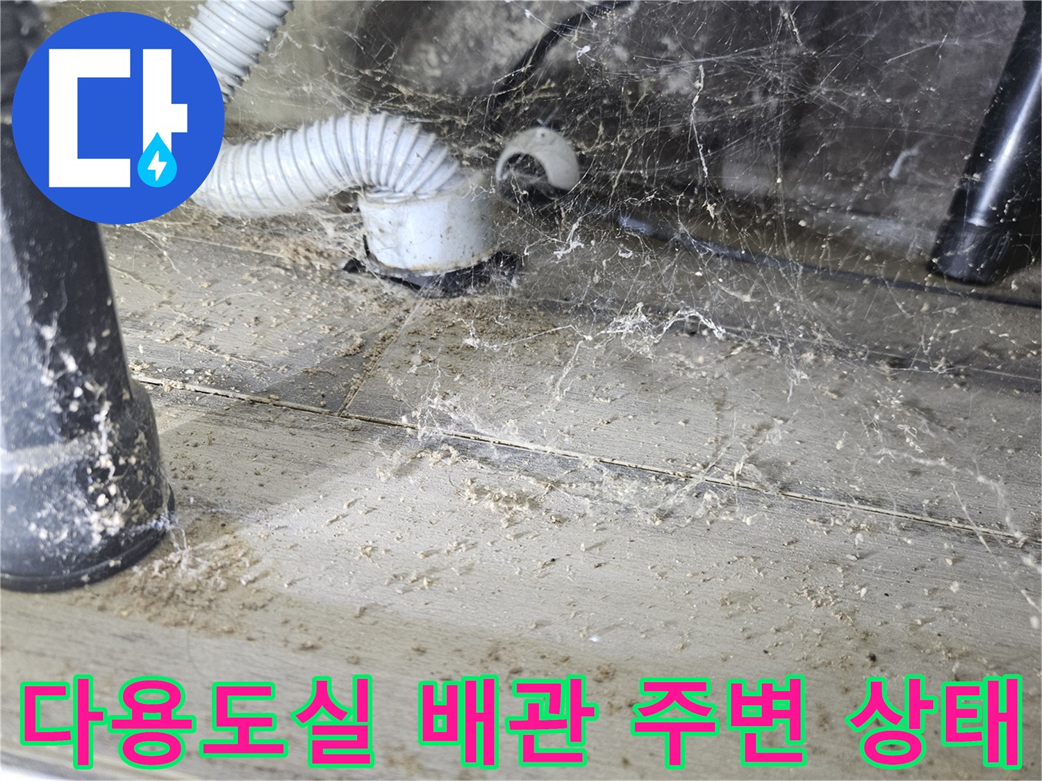 도봉구 다용 실-세탁기 배수 호스 및 하수관 연결 부위 점검 상황