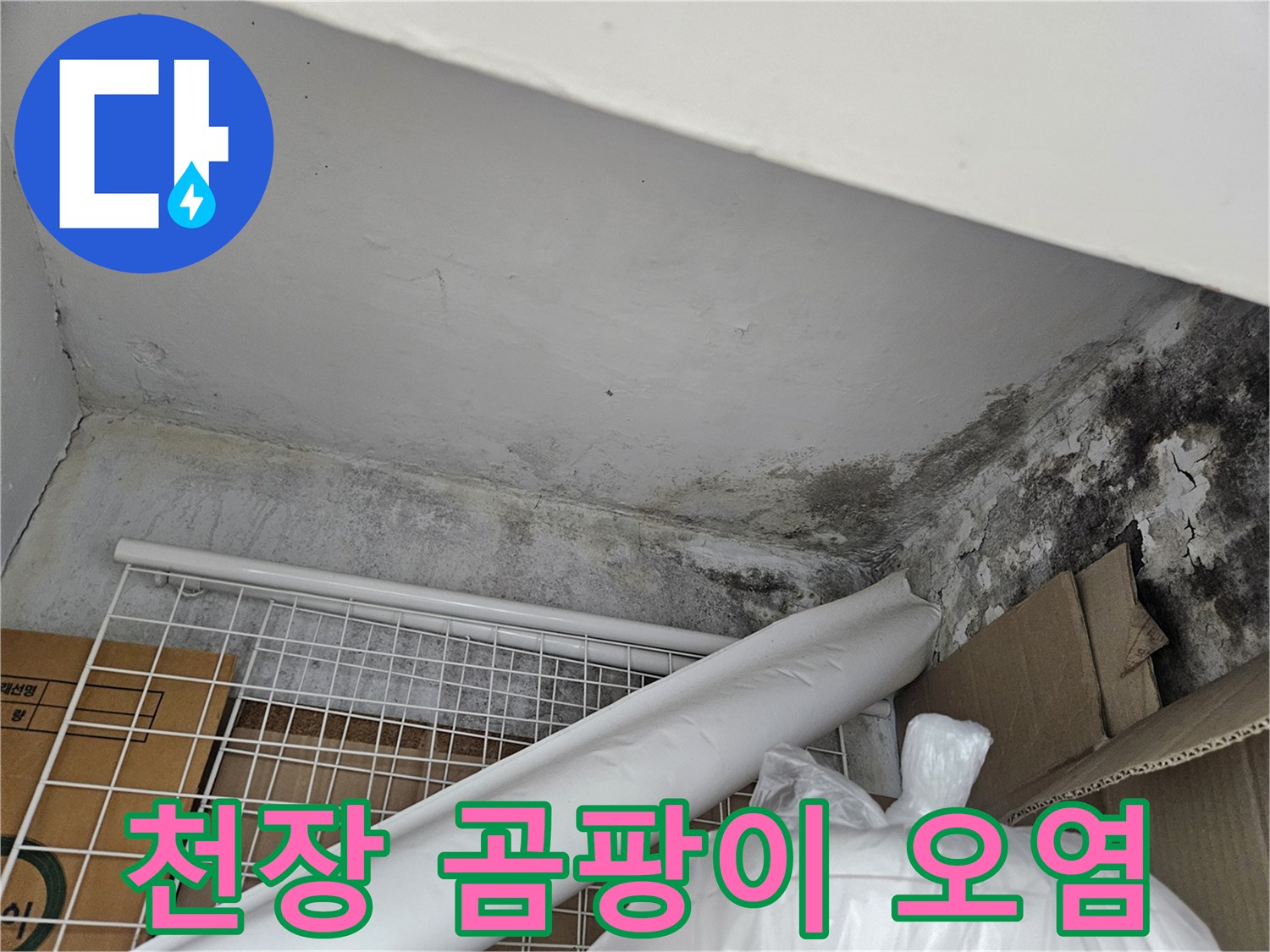 물샘으로 인해 검게 변한 천장 구석과 벽면 상태