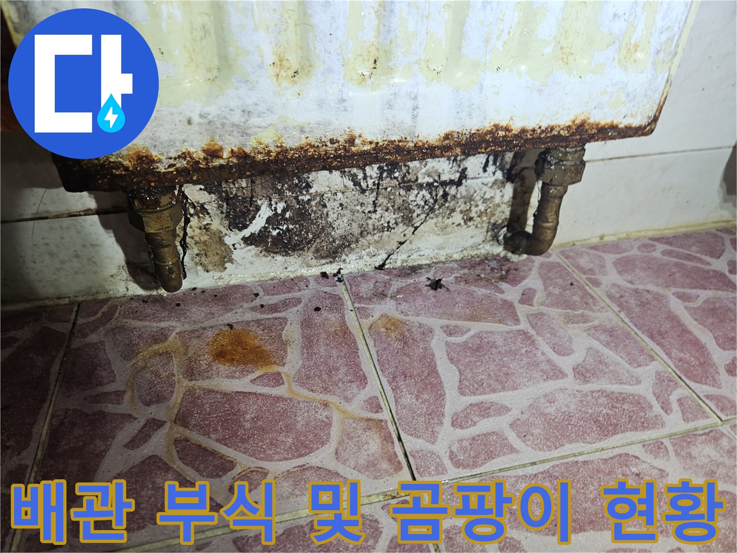 세탁기-하단-배관의-금속-부식과-벽면의-검은-곰팡이