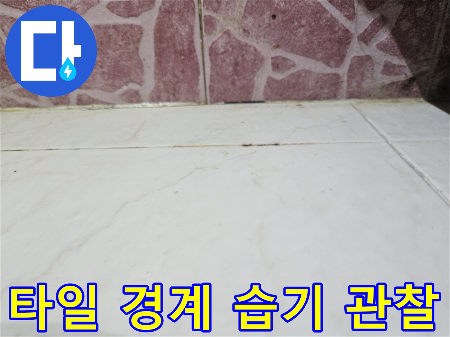 세탁실 벽면 하단 타일 사이의 습윤 상태를 나타내는 이미지