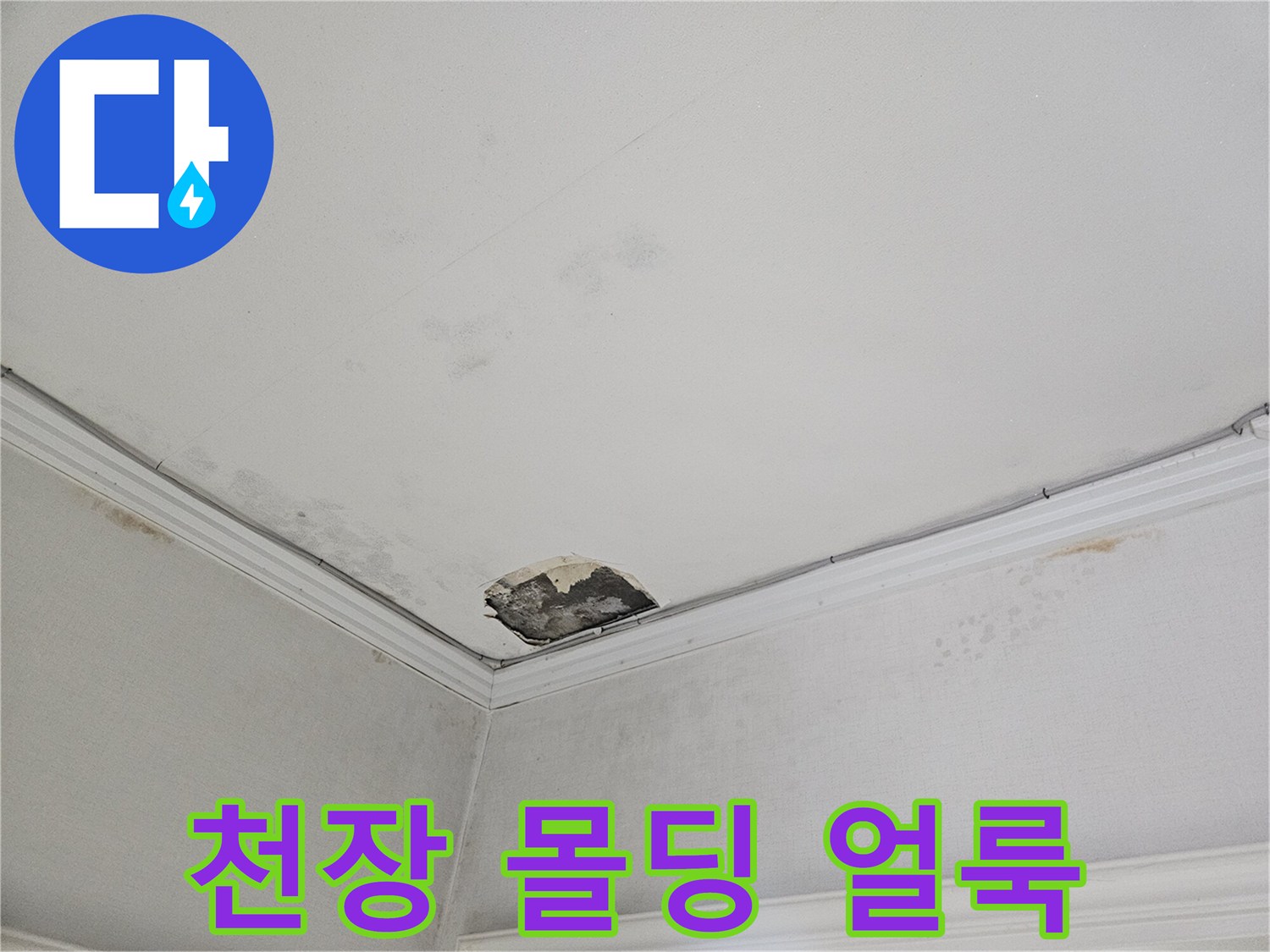 천장-몰딩-주변의-누수-흔적과-변색된-부분