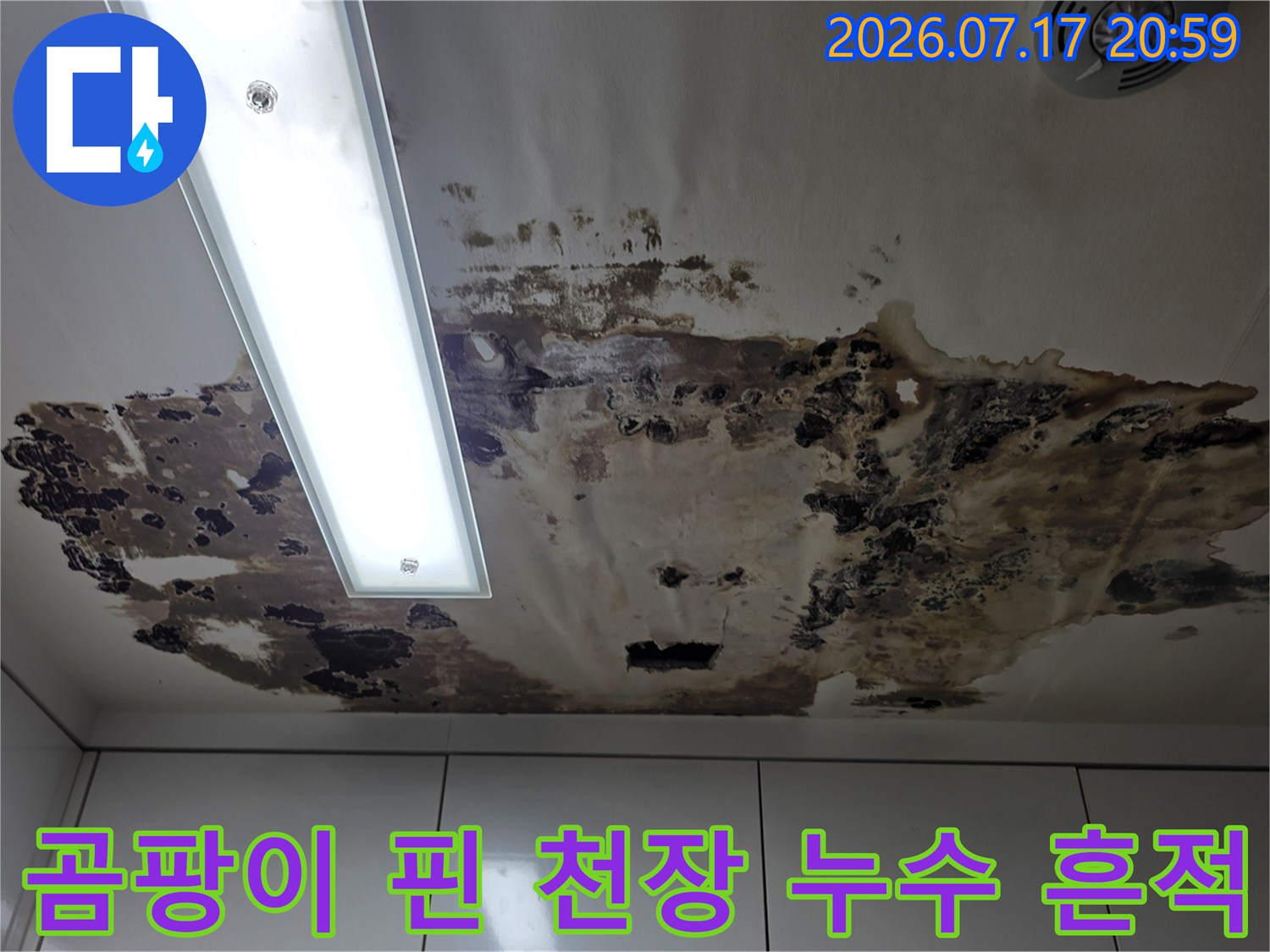 누수의 영향으로 검게 변한 얼룩과 습기가 진행된 천장면