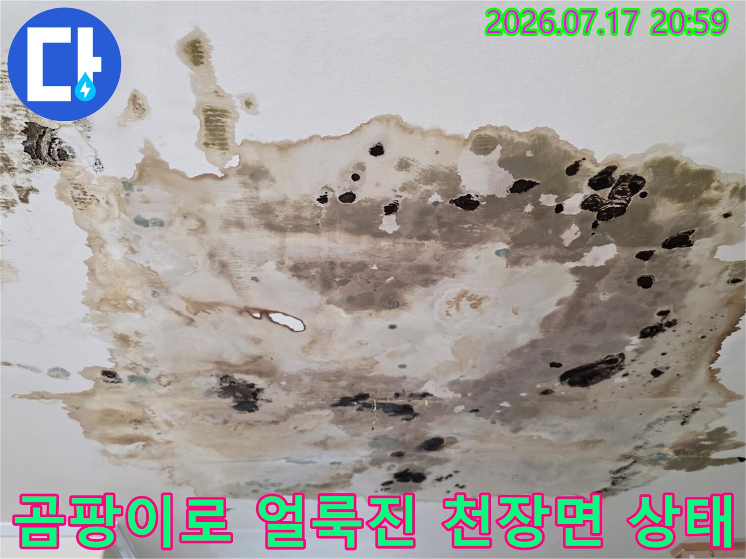 오염된 천장 마감재와 물때 자국