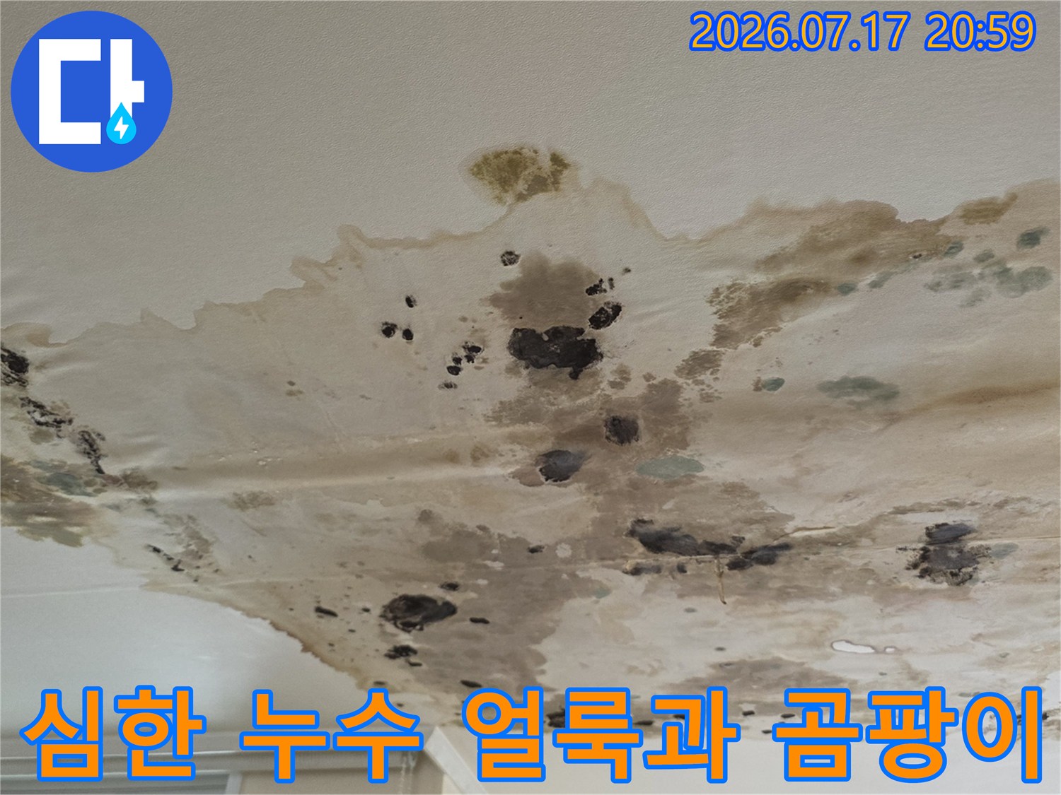 천장 마감재에 번진 다채로운 색상의 물자국과 곰팡이 흔적