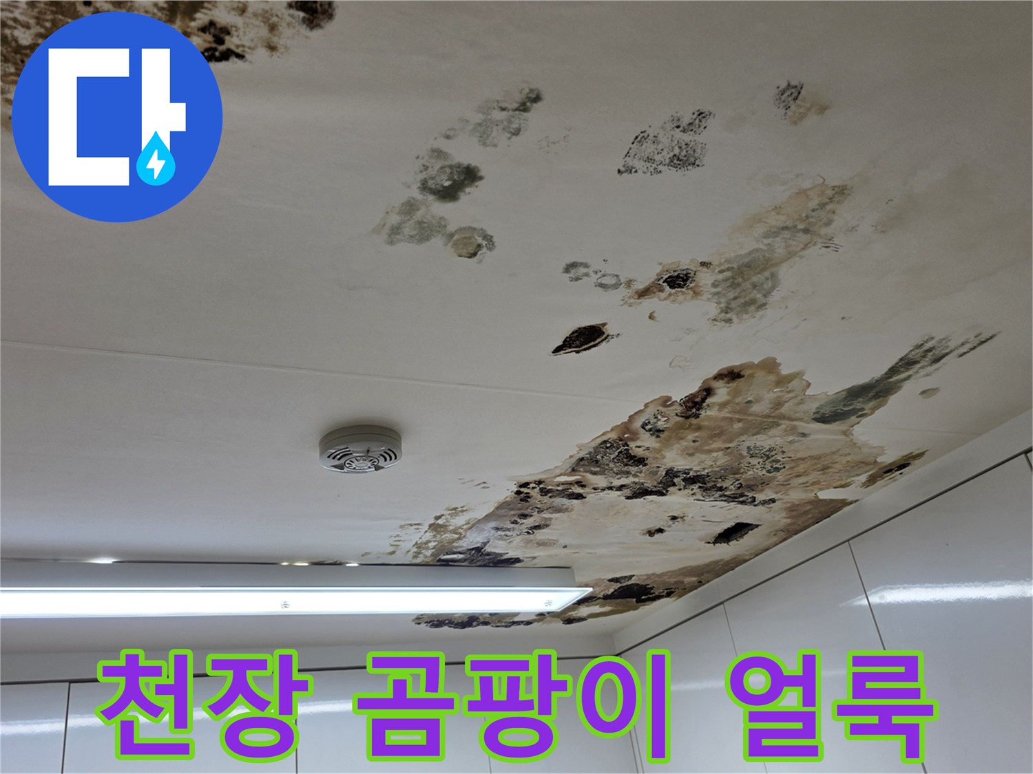 천장-면적에-퍼진-심한-곰팡이와-물얼룩-상태